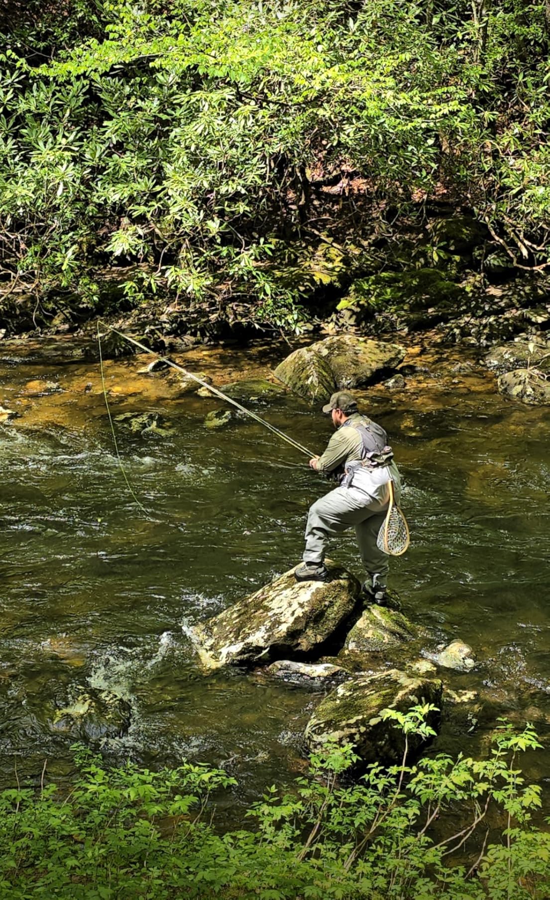 Wild Water Standard Fly Fishing Combo Starter Kit, 5 or 6 Weight 9 Foot Fly Rod, 4-Piece Graphite Rod with Cork Handle, Accessories, Die Cast Aluminum Reel, Carrying Case, Fly Box Case & Fishing Flies customer photo 2