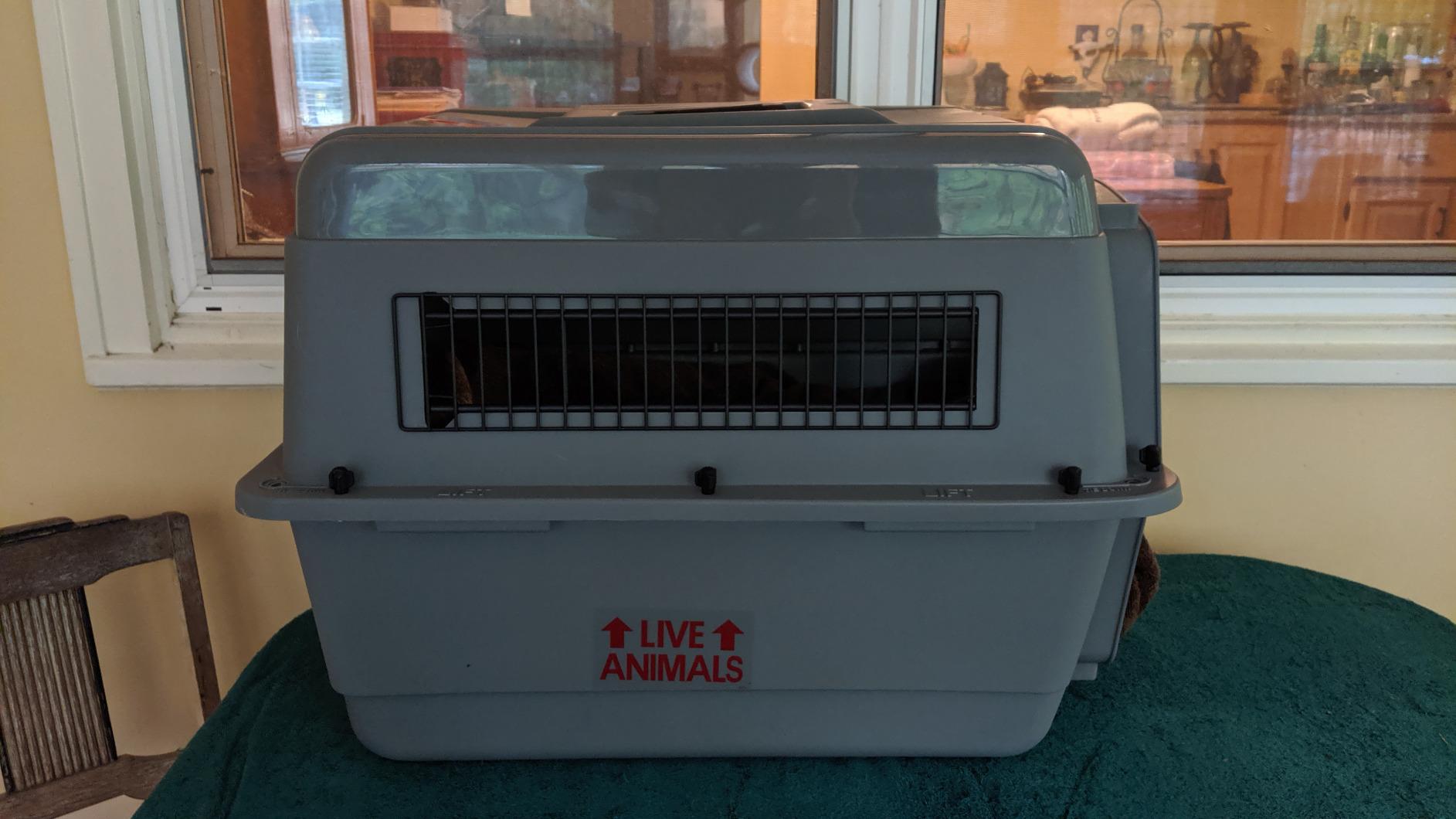 Petmate Sky Kennel IATA Airline Compliant Plastic Dog Crate For Air and Land Travel, Giant 48