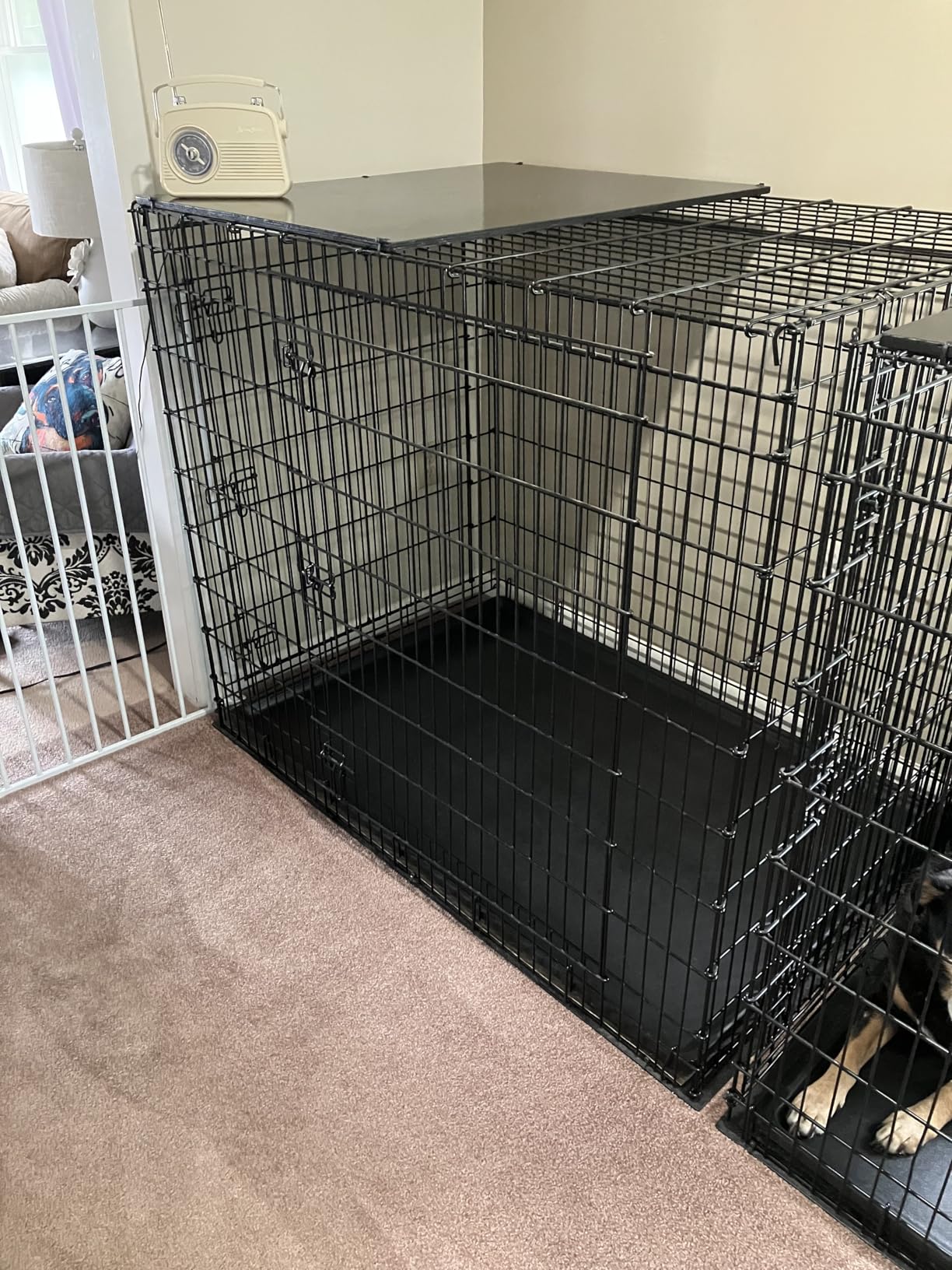 Solutions by MidWest Homes for Pets 54-Inch Drop Pin Crate for Giant Breeds Over 100 lbs, Double Door Dog Crate with Leak-Proof Tray & Secure Latches, Durable Drop Pin Construction customer photo 1
