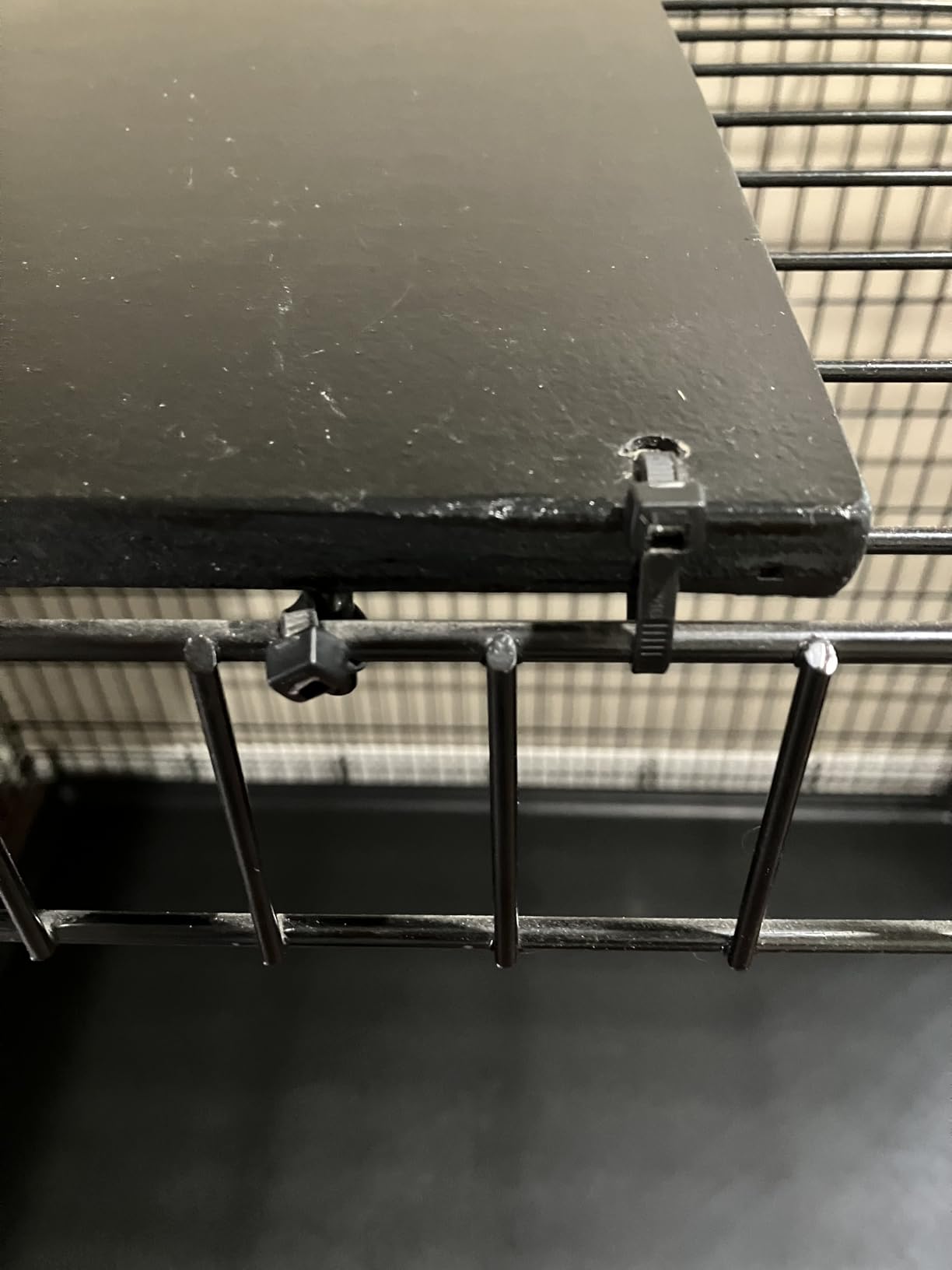 Solutions by MidWest Homes for Pets 54-Inch Drop Pin Crate for Giant Breeds Over 100 lbs, Double Door Dog Crate with Leak-Proof Tray & Secure Latches, Durable Drop Pin Construction customer photo 2