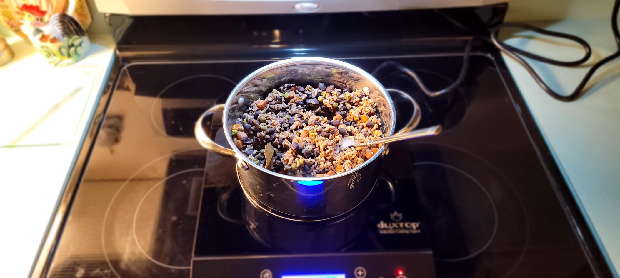 Duxtop Portable Induction Cooktop, Countertop Burner Induction Hot Plate with LCD Sensor Touch 1800 Watts, Silver 9600LS BT-200DZ customer photo 1