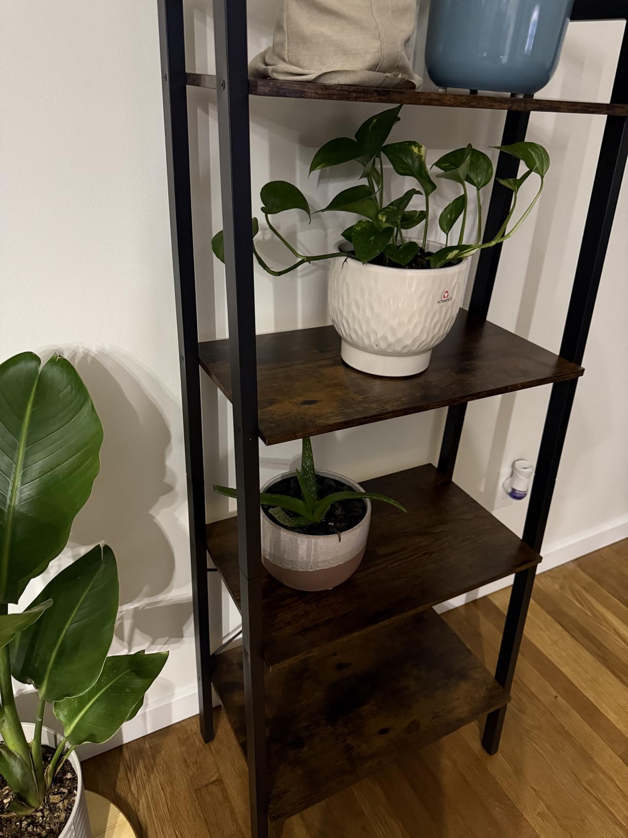 VASAGLE BARNET Collection - Ladder Shelf, Bookshelf, Storage Rack, Modern Bookcase for Living Room Home Office Kitchen, Steel Frame, 4-Tier, 22-Inch Wide, Rustic Brown and Ink Black ULLS44X customer photo 2