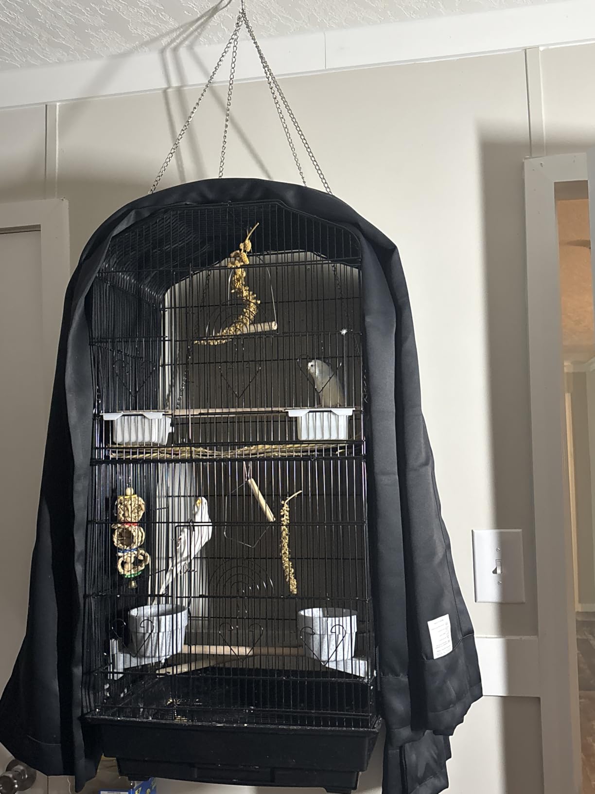 ZENY 63.4 Inch Bird Cage, Rolling Wrought Iron Parrot Cage customer photo 1
