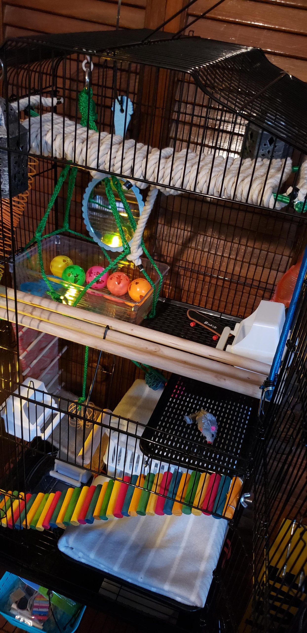 ZENY 63.4 Inch Bird Cage, Rolling Wrought Iron Parrot Cage customer photo 2