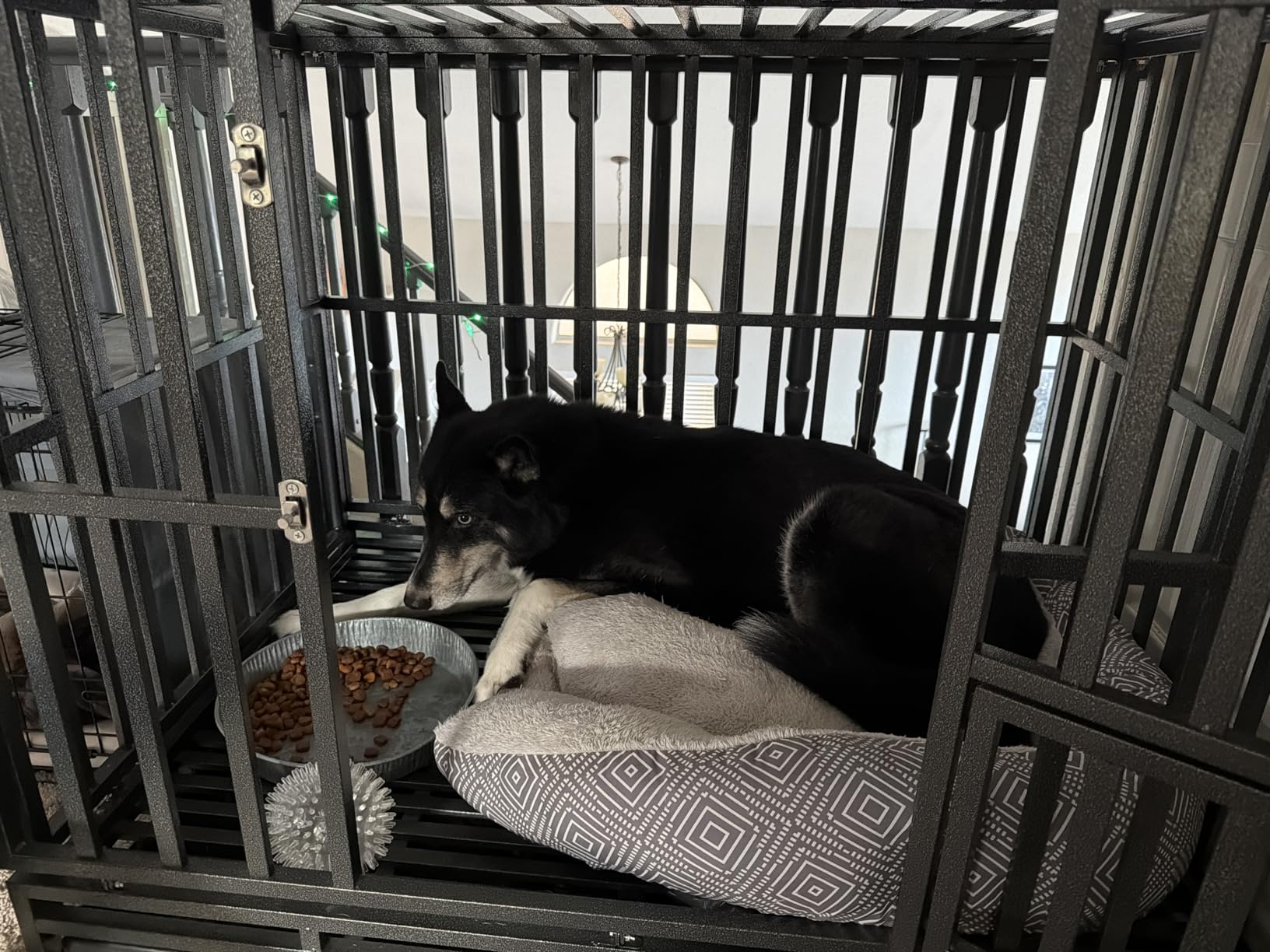 LUCKUP 38 Inch Heavy Duty Dog Cage Metal Kennel and Crate for Large Dogs,Easy to Assemble Pet Playpen with Four Wheels,Black … … customer photo 1