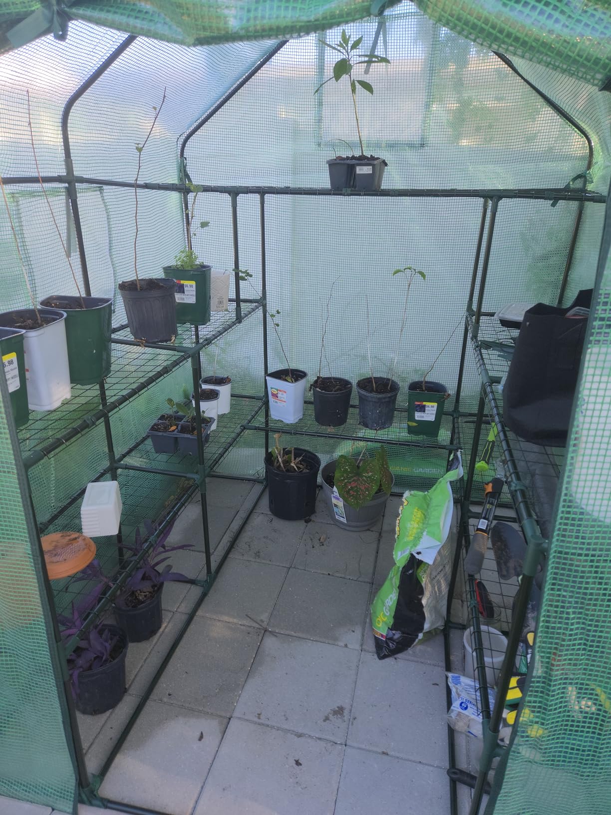 Ohuhu Greenhouse for Outdoors with Screen Windows, 57 x 57 x 76'' Walk in Plant Greenhouses Heavy Duty with Durable PE Cover, 3 Tiers 12 Shelves Stands customer photo 1