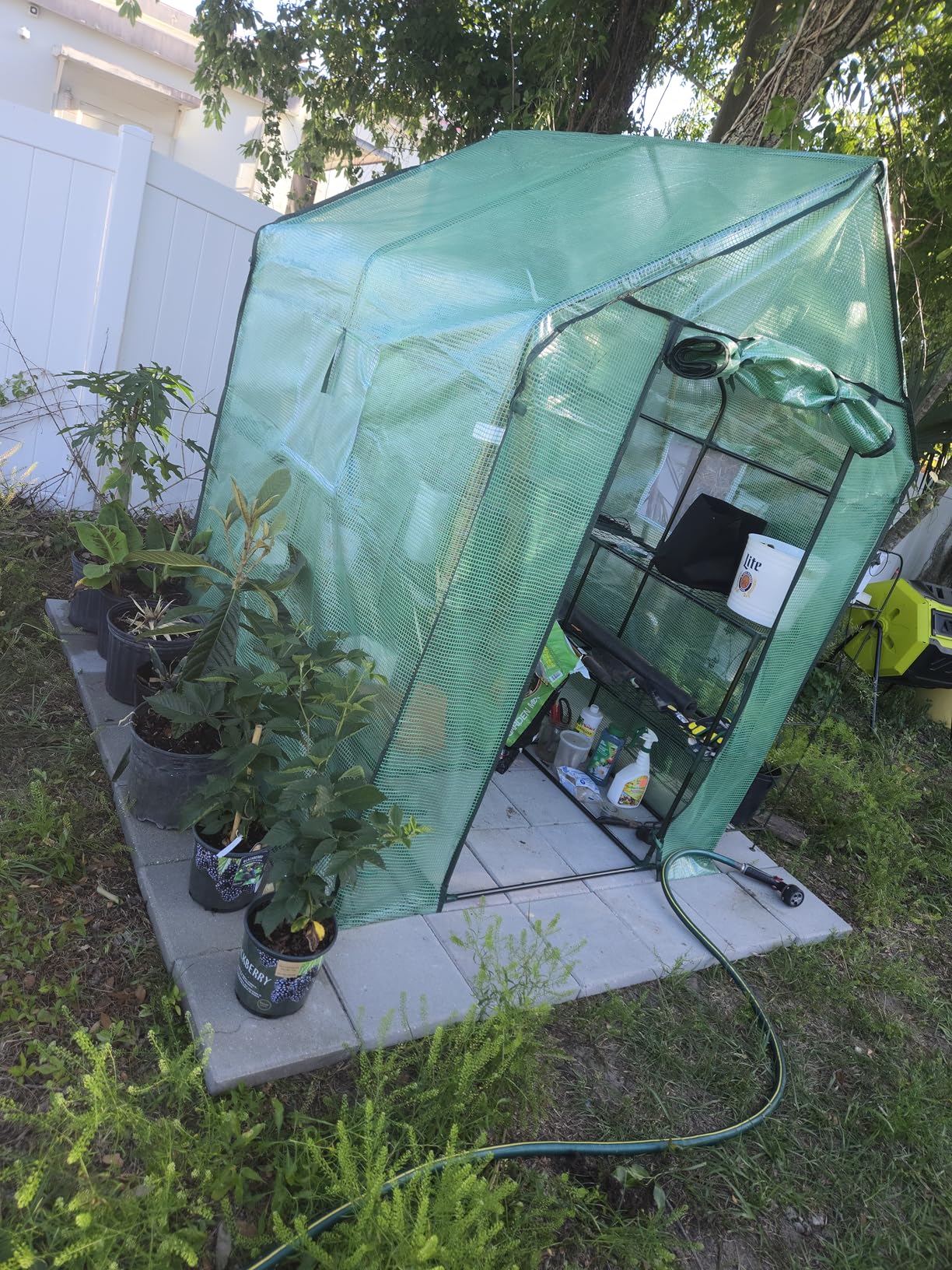 Ohuhu Greenhouse for Outdoors with Screen Windows, 57 x 57 x 76'' Walk in Plant Greenhouses Heavy Duty with Durable PE Cover, 3 Tiers 12 Shelves Stands customer photo 2