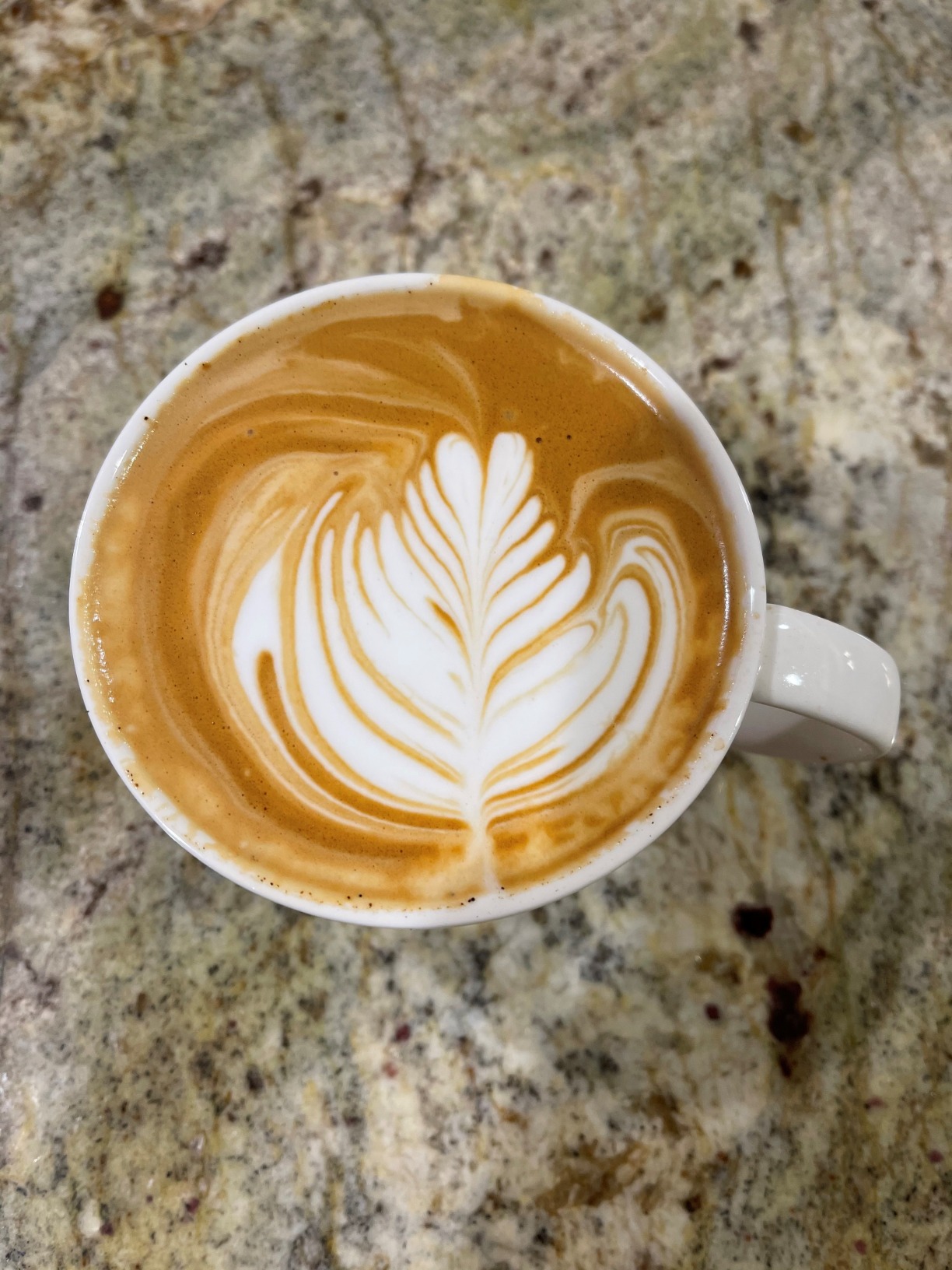 Breville Barista Pro customer photo 1