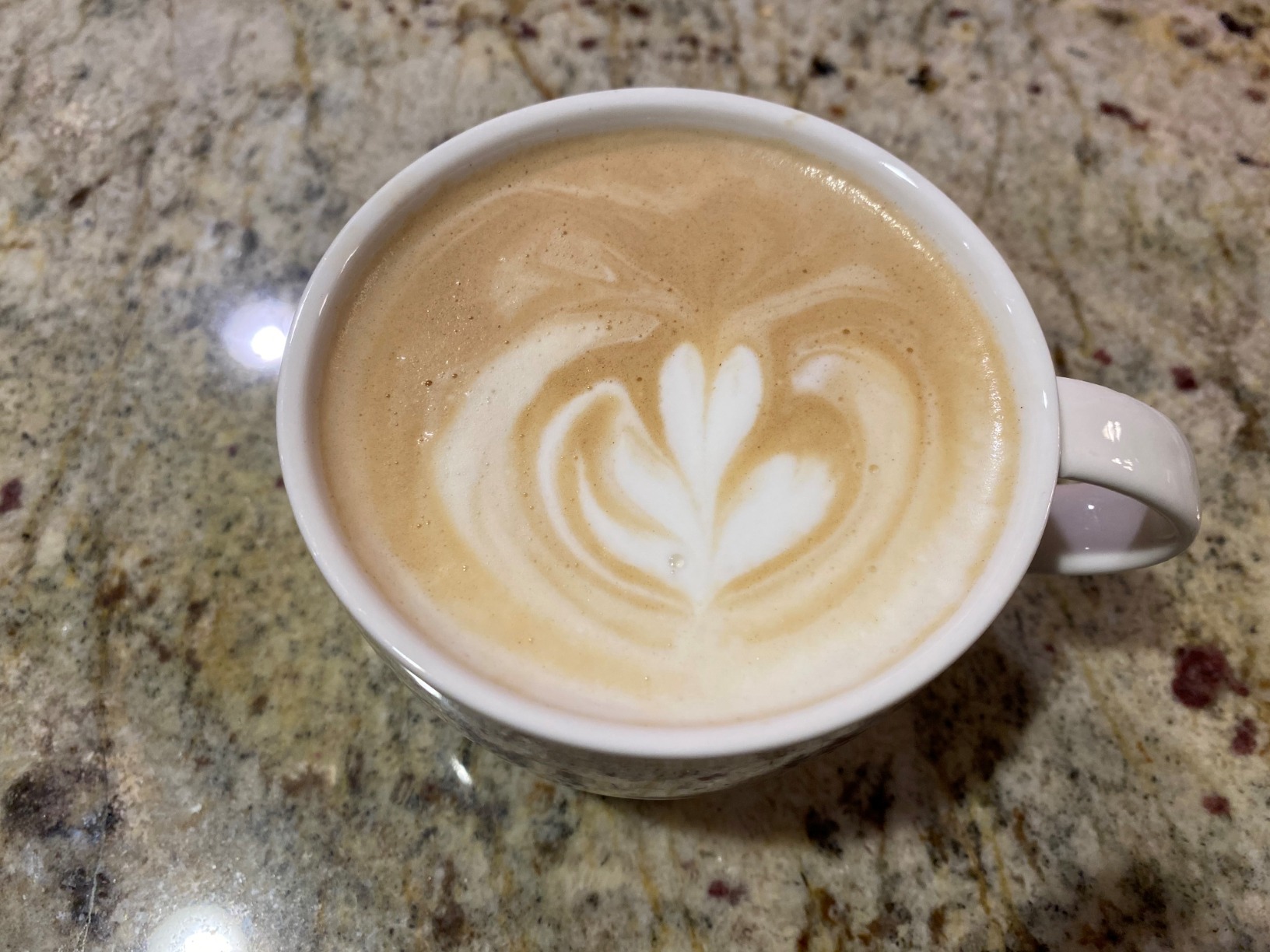 Breville Barista Pro customer photo 2