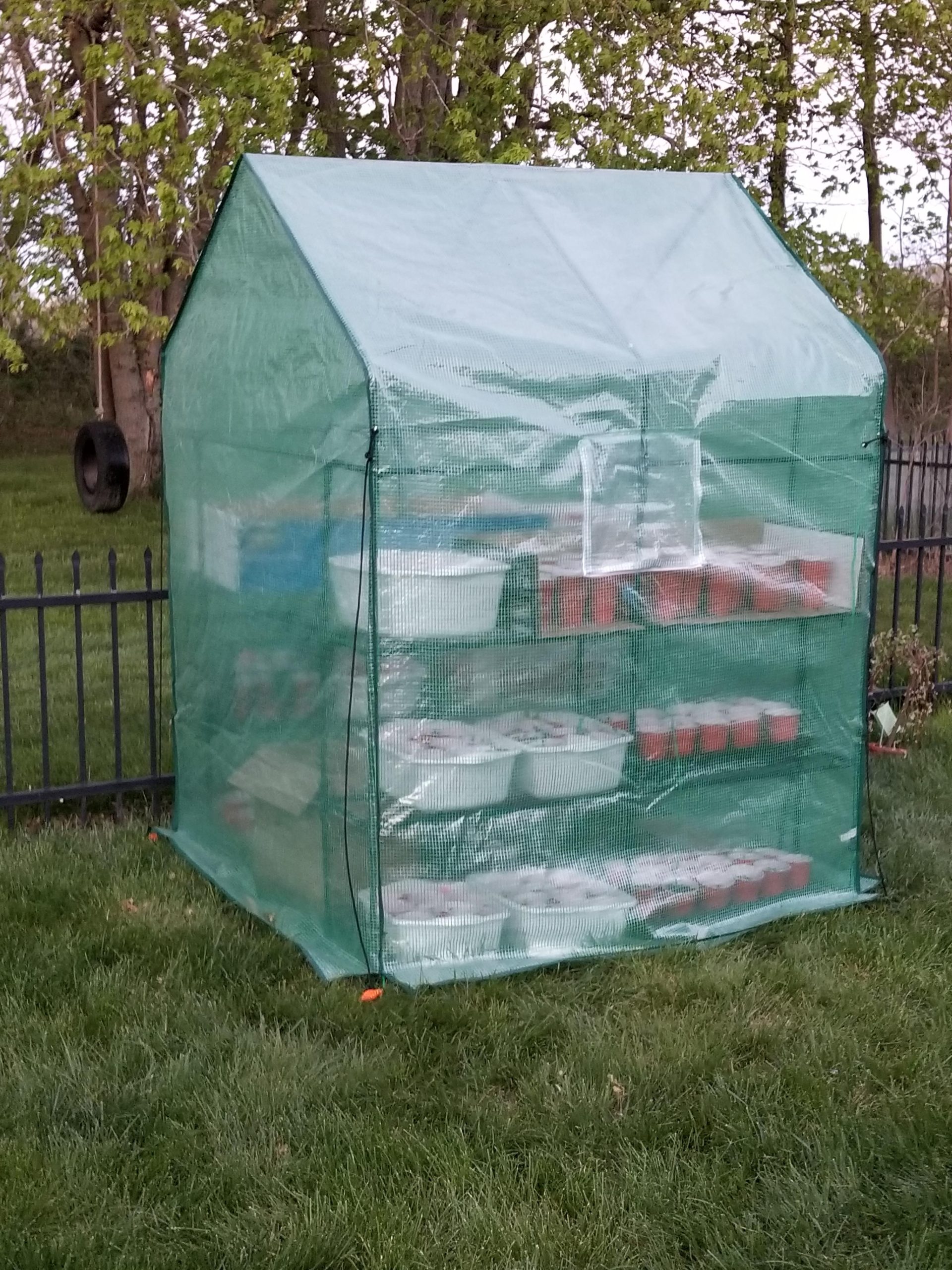 VIVOSUN 57x57x77 Inch Mini Walk in Green House with Window and Anchor, Plant Garden Hot House 2 Tiers 8 Shelves, 4.7 x 4.7 x 6.4 FT customer photo 1