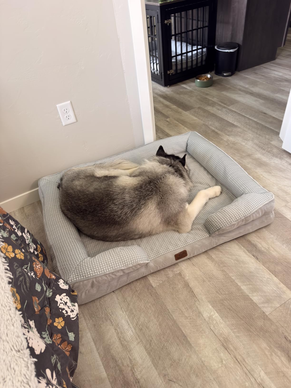 Bedsure Orthopedic Dog Beds Large Sized Dog Washable Original Design customer photo 1