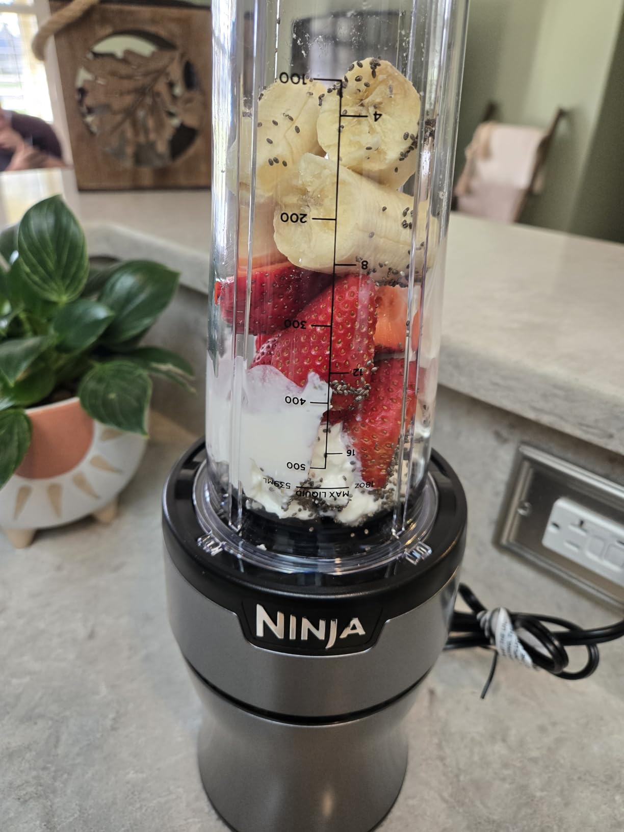 Ninja Nutri-Plus Personal Blender, 900PW, (3) 20oz Cups, Silver, BN301 customer photo 2