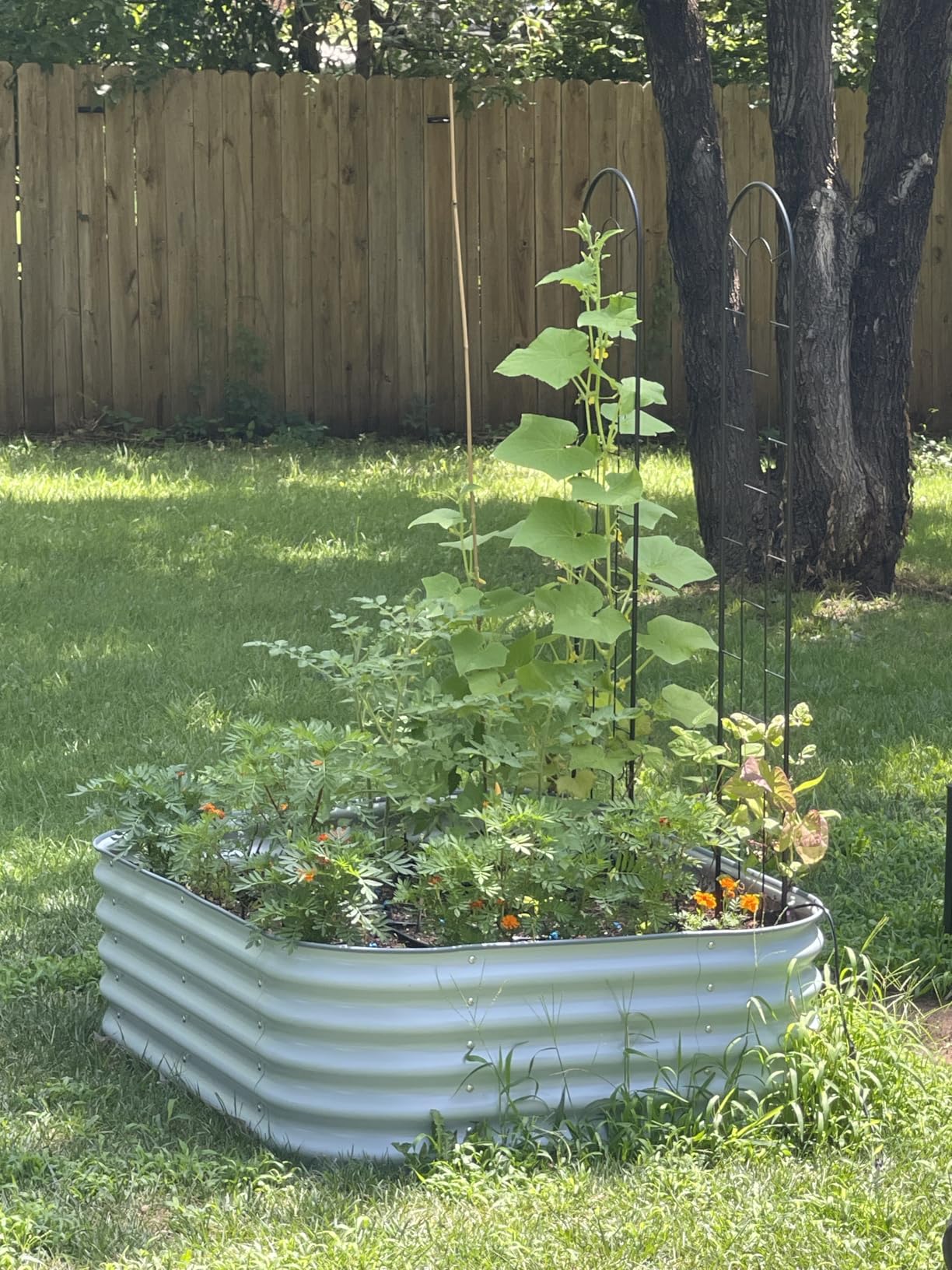 Vego Garden Aluzinc Raised Garden Bed Kit, 17