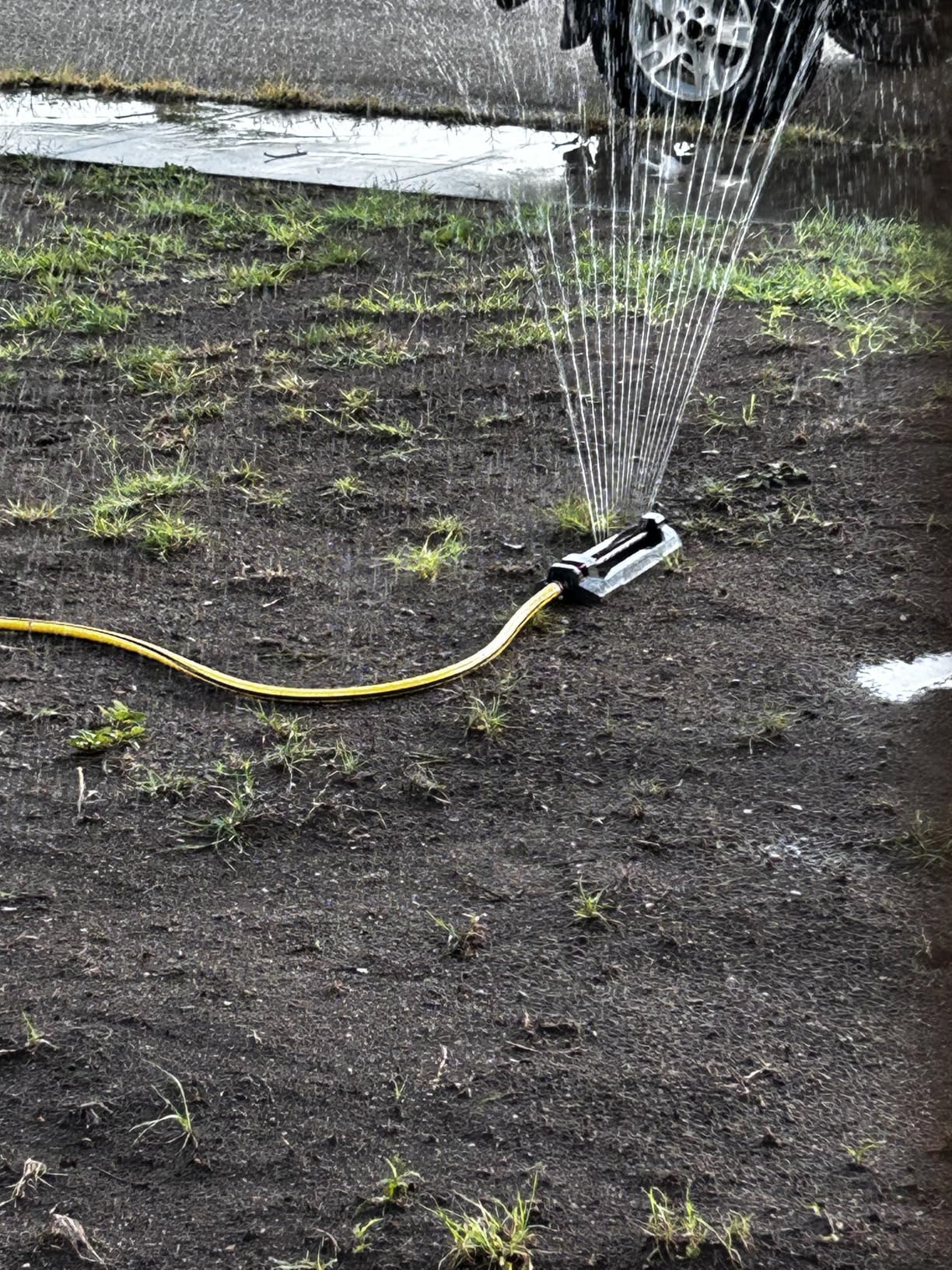 Eden 96213 Essential Turbo Oscillating Water Sprinkler, Covers Up to 3,600 sq. ft., 16 Nozzles, Weighted Base, Adjustable Range, Quick Connect Bundle customer photo 1