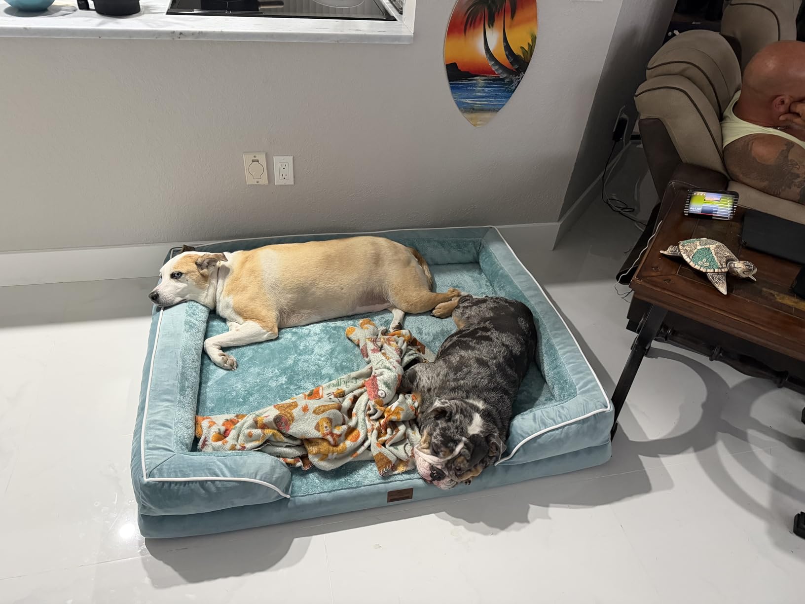 Comfort Expression Waterproof Orthopedic Dog Bed for Extra Large Dogs customer photo 1