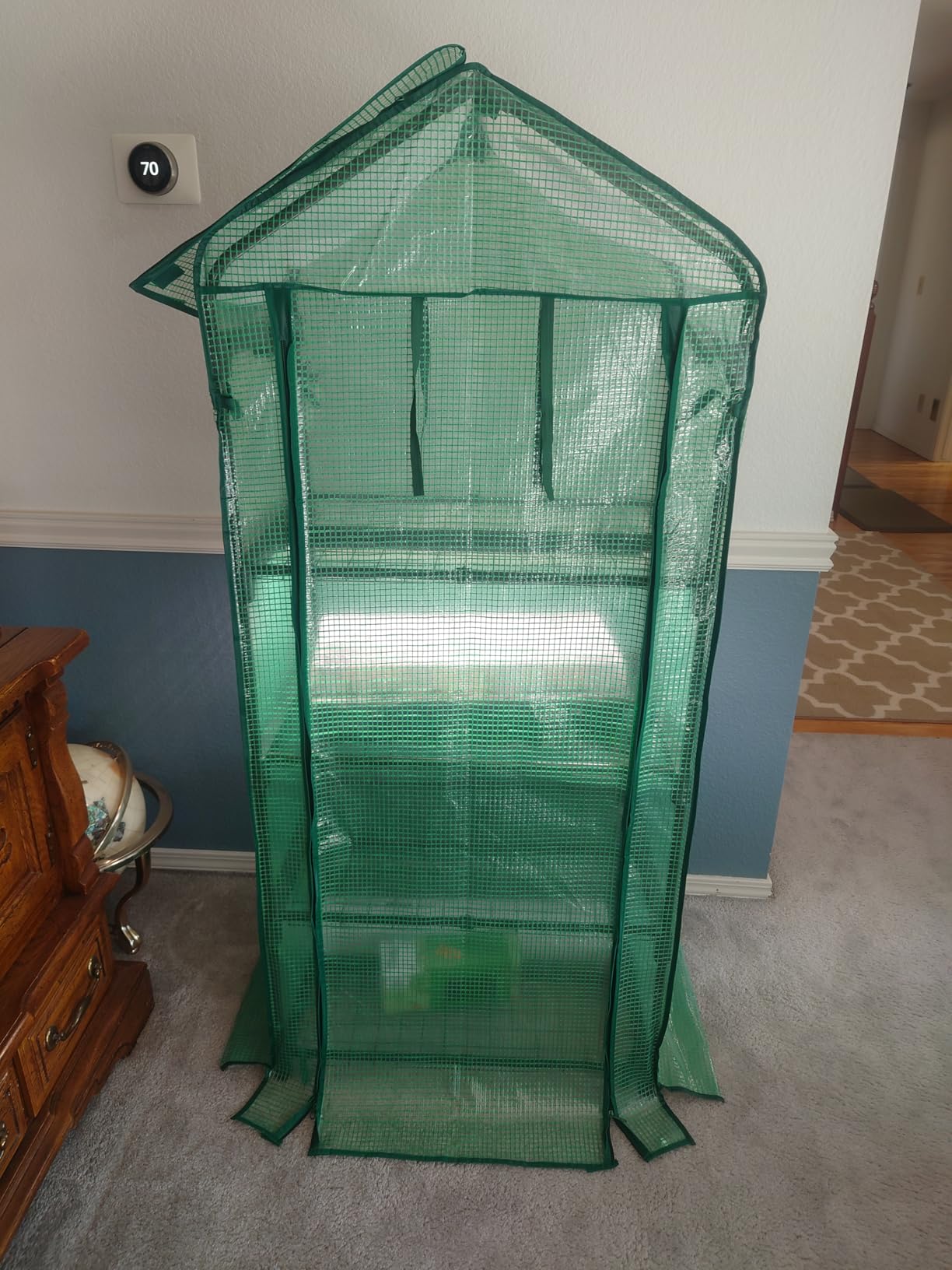 Mini Greenhouse with Screen Roof, Ohuhu Upgraded Portable 4 Tier Small Greenhouses for Outdoors Indoor with Reelable Door, Heavy Duty Plastic Green House for Outside Garden Patio Yard Porch Balcony customer photo 2