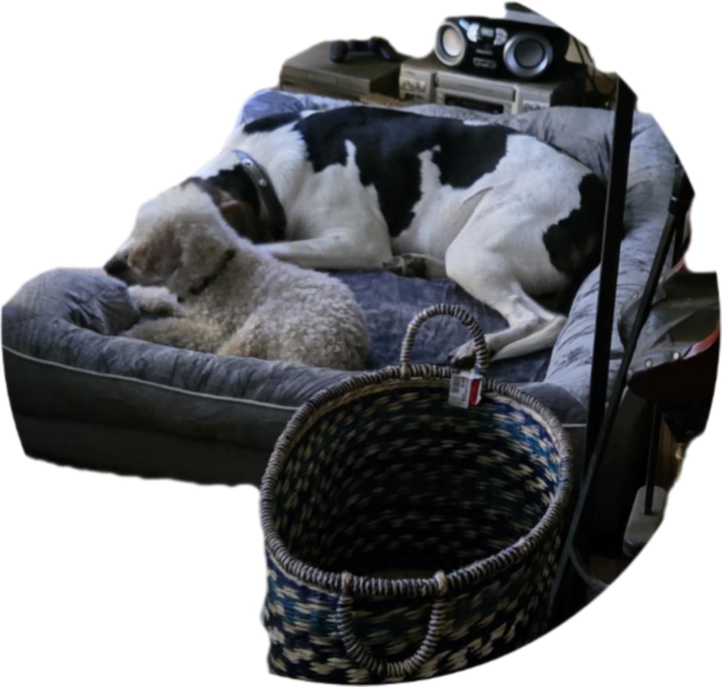 EHEYCIGA Orthopedic Dog Beds Large Sized Dog, Waterproof Memory Foam Pet Bed with Sides, Non-Slip Bottom Large Pet Bed with Washable Removable Cover, Grey customer photo 1