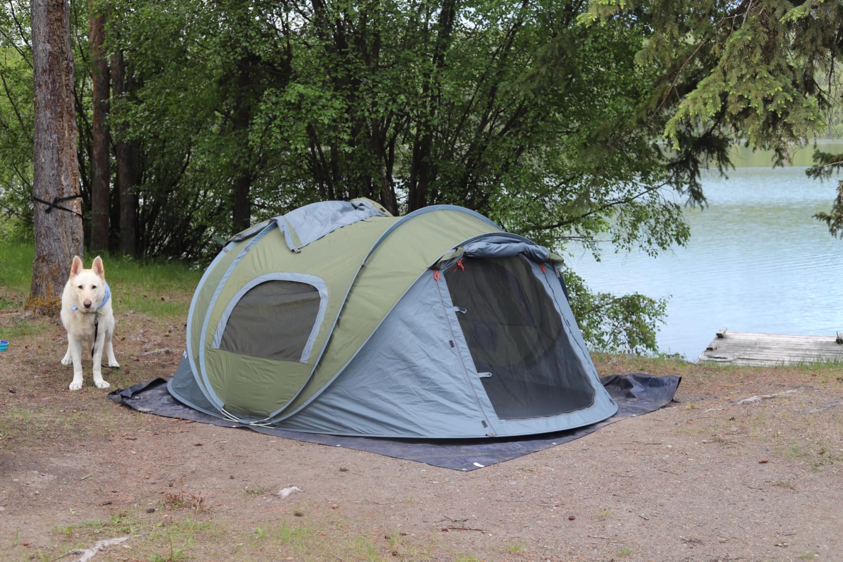 Night Cat Pop-up Camping Tent: 2 Person Tent Waterproof Instant Easy Setup Family Tent customer photo 2