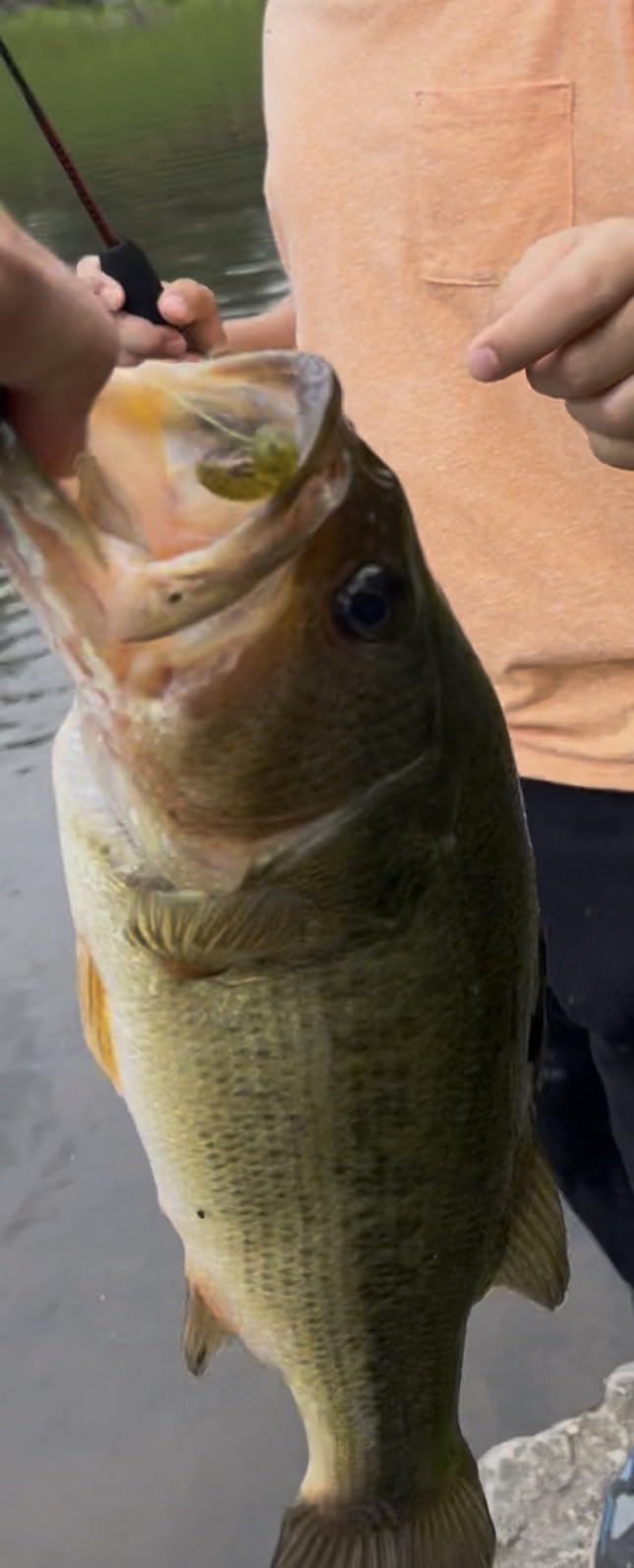 Ugly Stik Dock Runner Spinning Reel and Fishing Rod Combo customer photo 1