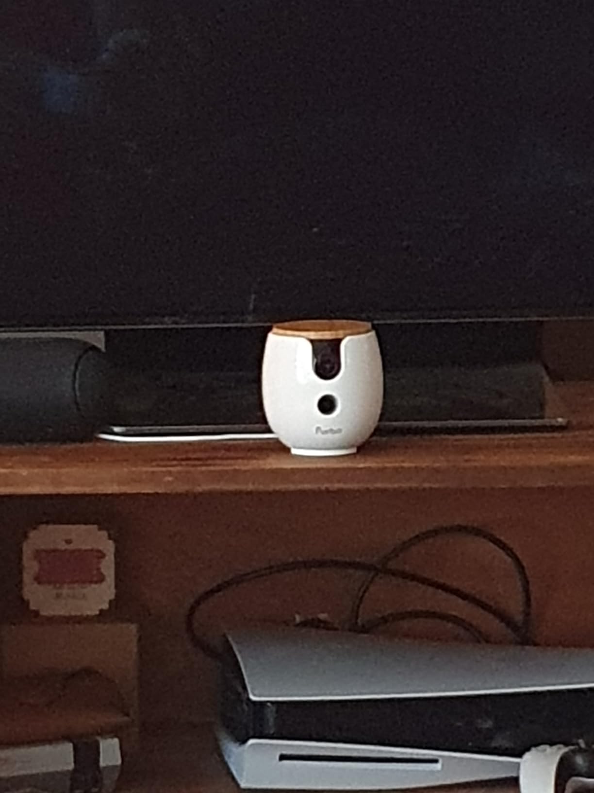 Furbo 360° Dog Camera [Paid Plan Required to Activate] customer photo 2