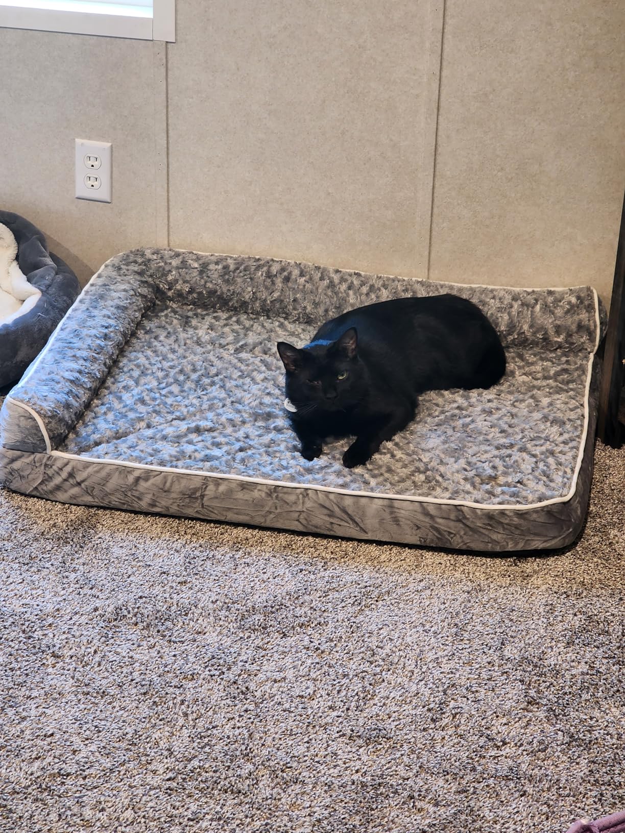 BFPETHOME Orthopedic Washable Dog Bed, Sleeping Couch for Large Senior Dogs customer photo 2