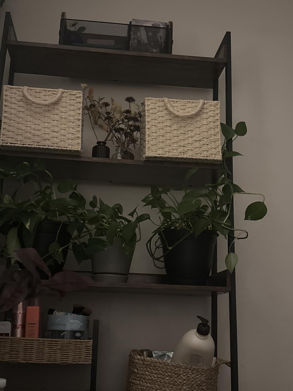 IRONCK Ladder Shelf, Ladder Bookshelf 5-Tier 74.8in Tall, Industrial Bookcase and Bookshelf, Display Shelf Metal Frame for Home Office, Bathroom, Living Room, Vintage Brown customer photo 1