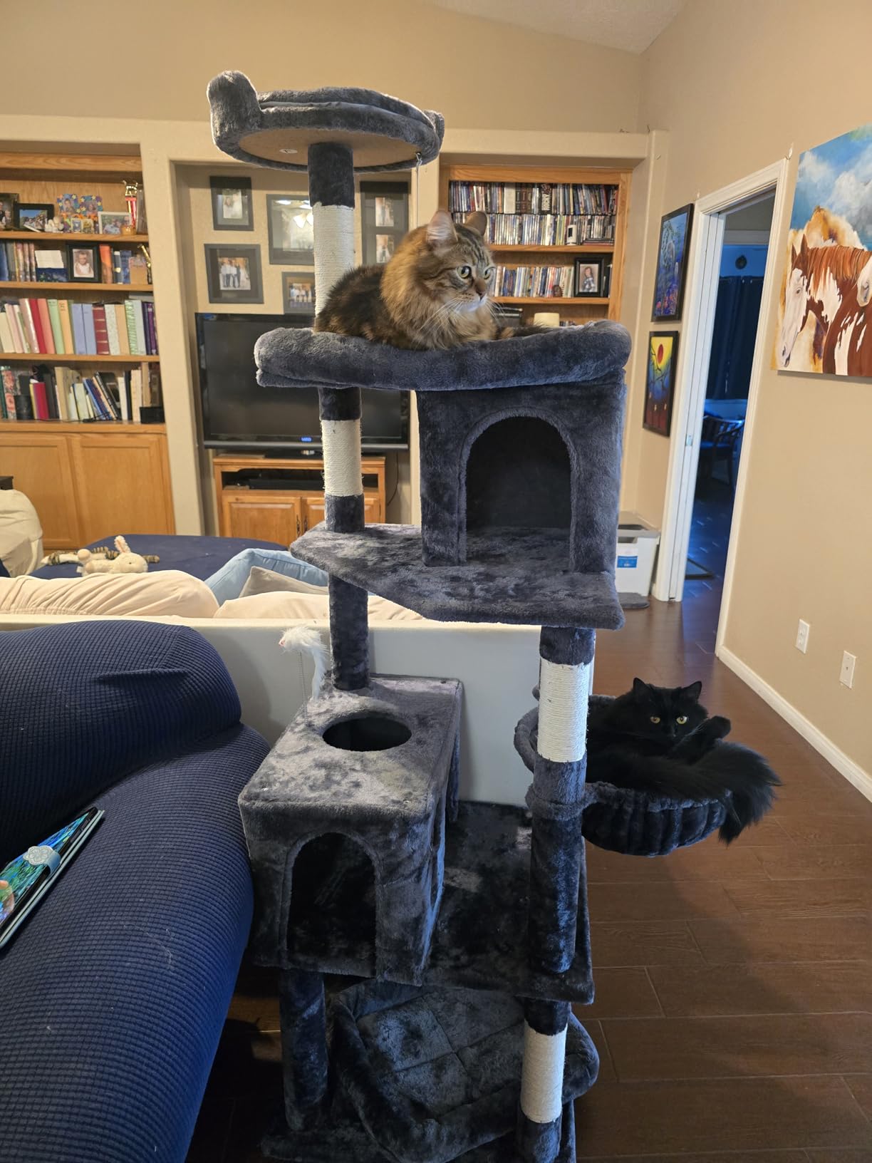 Globlazer S72 Heavy Duty Cat Trees for Large Cats 20 lbs+, Dark Gray customer photo 1
