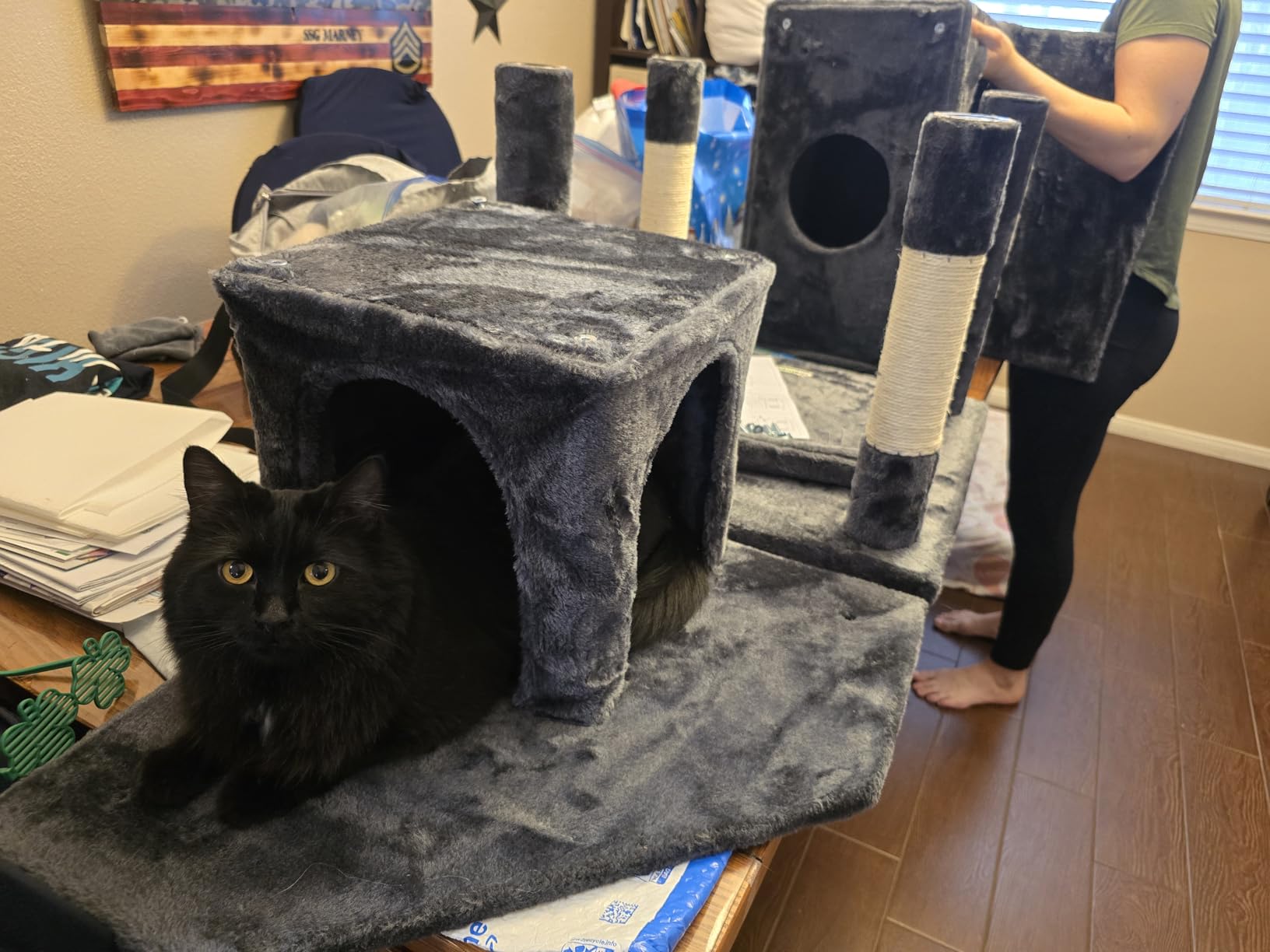 Globlazer S72 Heavy Duty Cat Trees for Large Cats 20 lbs+, Dark Gray customer photo 2