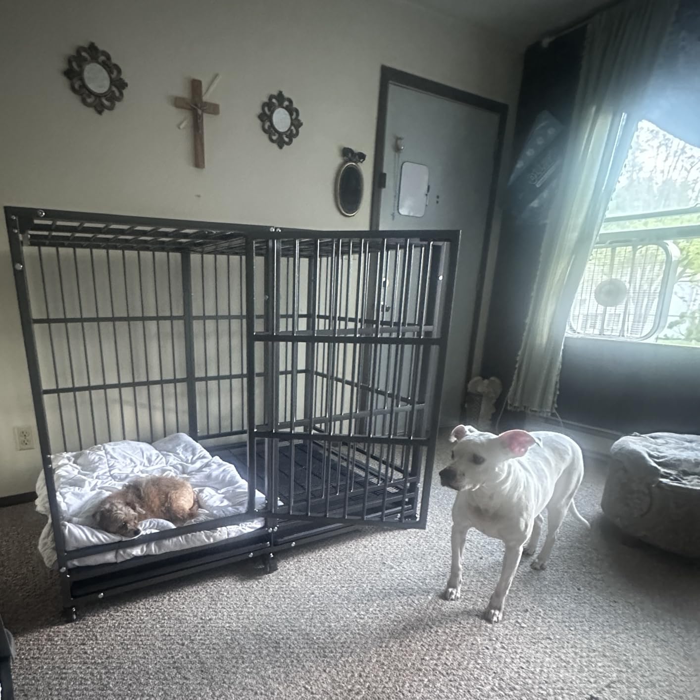 BOLDBONE 54 inch Heavy Duty Indestructible and Escape-Proof Dog Crate Cage Kennel for Large Dogs, High Anxiety Dog Crate with Removable Wire Trays and Wheels, Extra Large XL XXL, Black customer photo 1