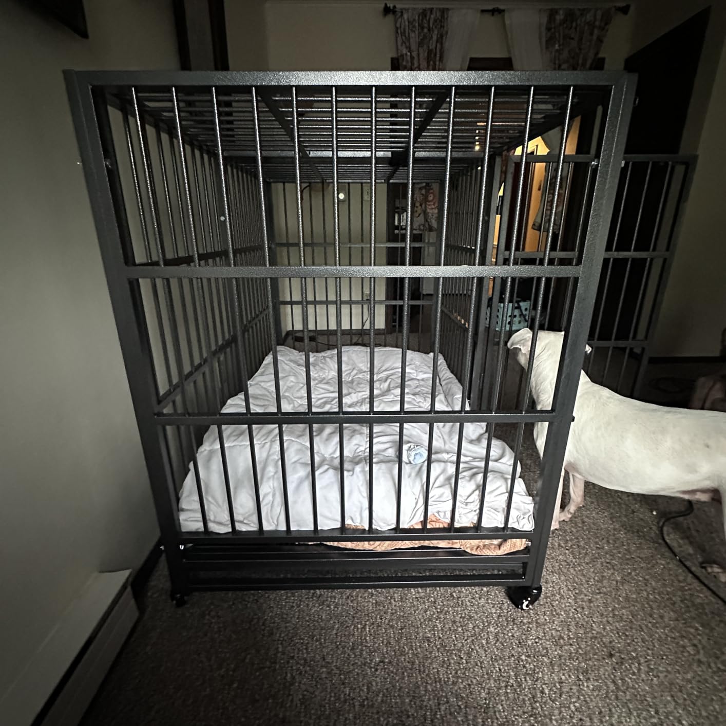 BOLDBONE 54 inch Heavy Duty Indestructible and Escape-Proof Dog Crate Cage Kennel for Large Dogs, High Anxiety Dog Crate with Removable Wire Trays and Wheels, Extra Large XL XXL, Black customer photo 2