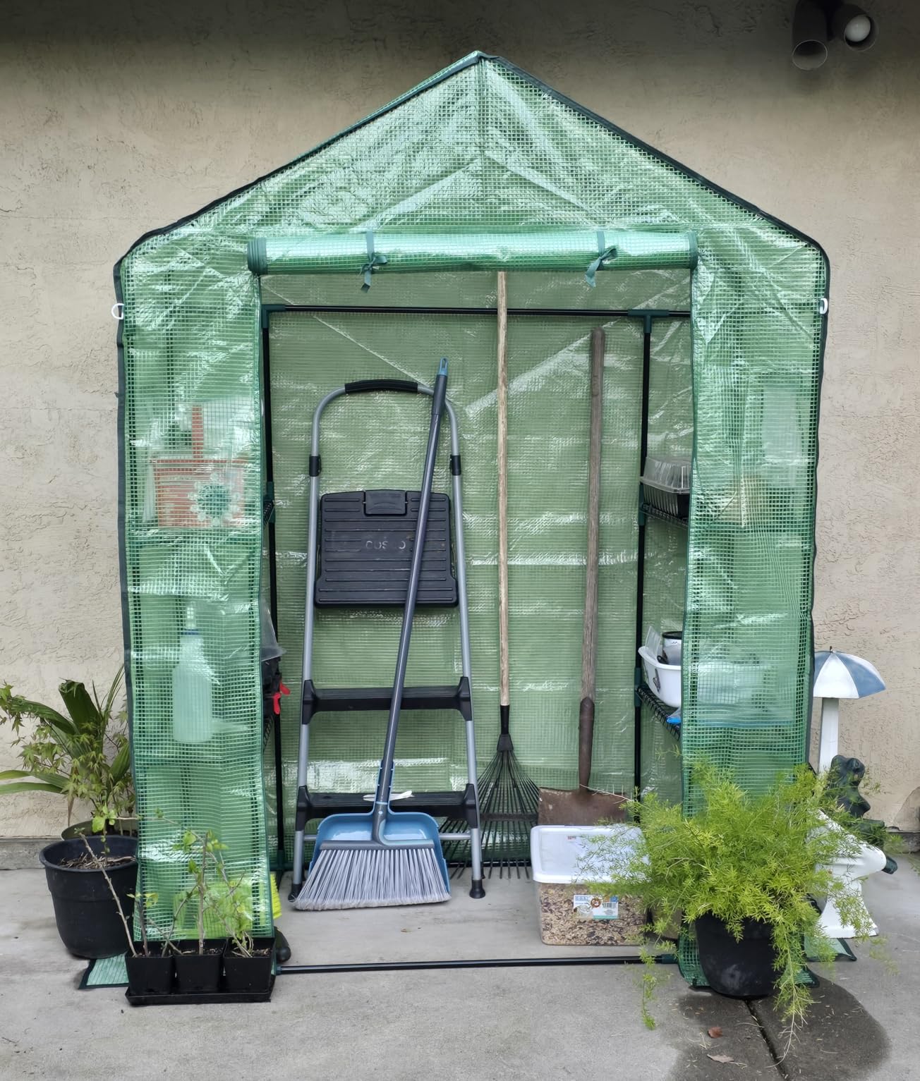 Greengro Greenhouse, 28 x 57 x 76'' Greenhouses for Outdoors, Small Plant Green House with Screen Windows, 3 Tiers 4 Shelves, Durable PE Cover, Plastic Portable Walk in Greenhouses customer photo 1