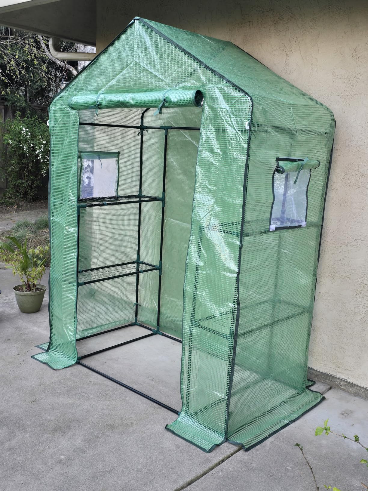 Greengro Greenhouse, 28 x 57 x 76'' Greenhouses for Outdoors, Small Plant Green House with Screen Windows, 3 Tiers 4 Shelves, Durable PE Cover, Plastic Portable Walk in Greenhouses customer photo 2