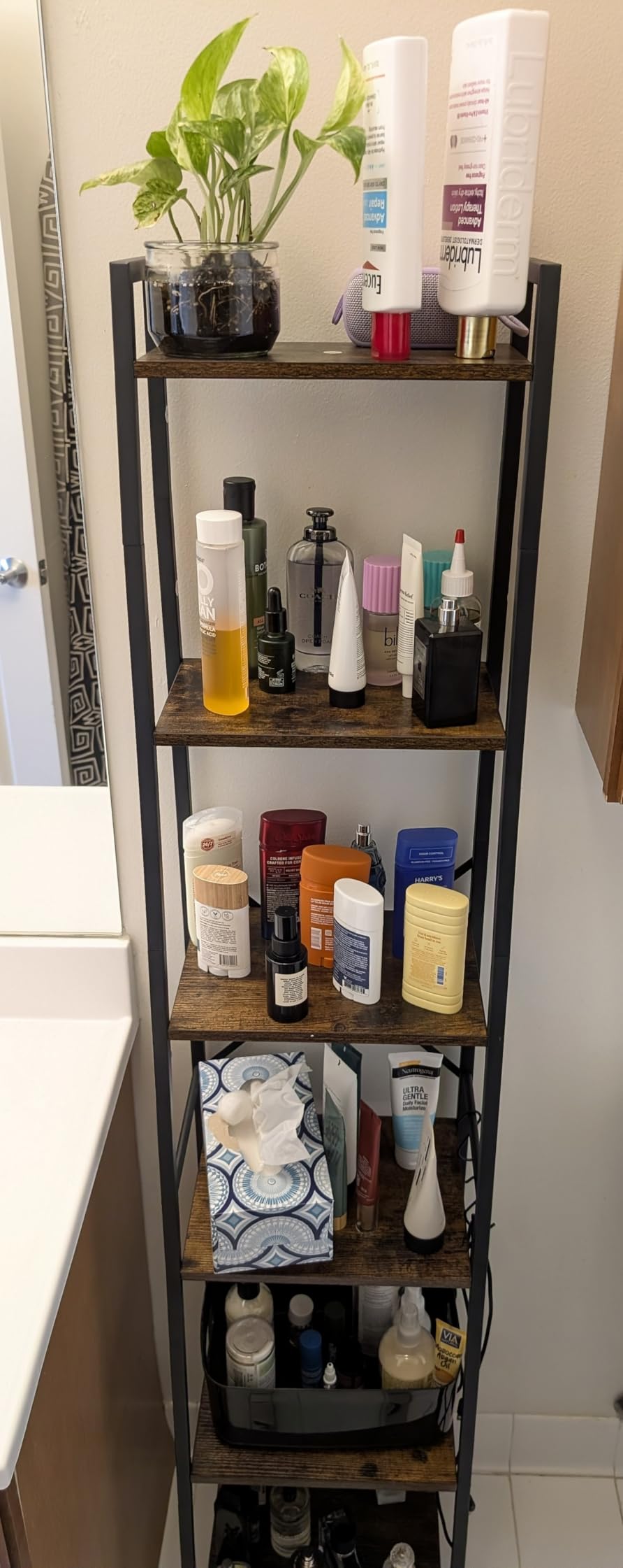 Furologee 6 Tier Ladder Shelf Bookcase, Tall Ladder Bookshelf Narrow with 2 Hooks, Industrial Metal Wooden Shelf Free Standing, Skinny Bathroom Shelves for Bedroom Living Room Kitchen, Rustic Brown customer photo 2