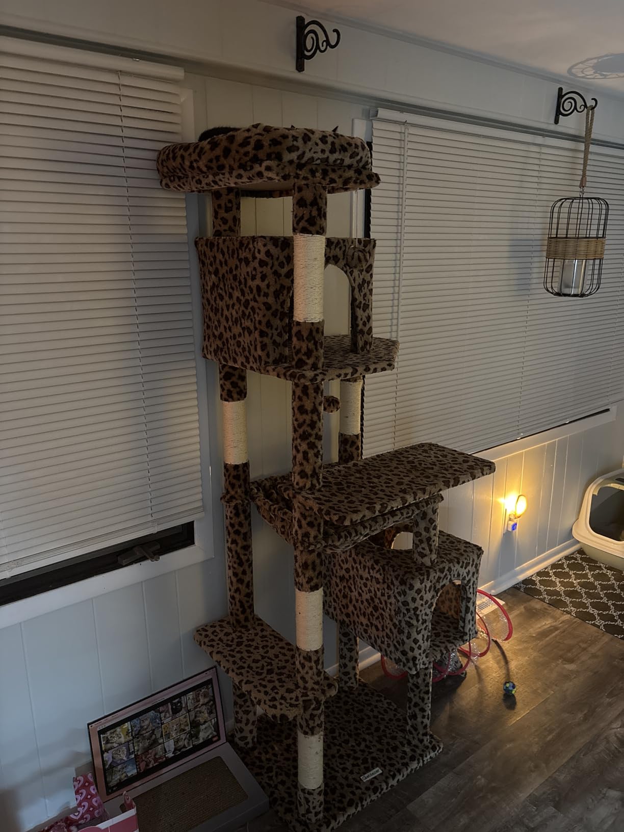 Globlazer F70 Pro Heavy Duty Cat Tree Tower for Indoor Cats Large Adult customer photo 1