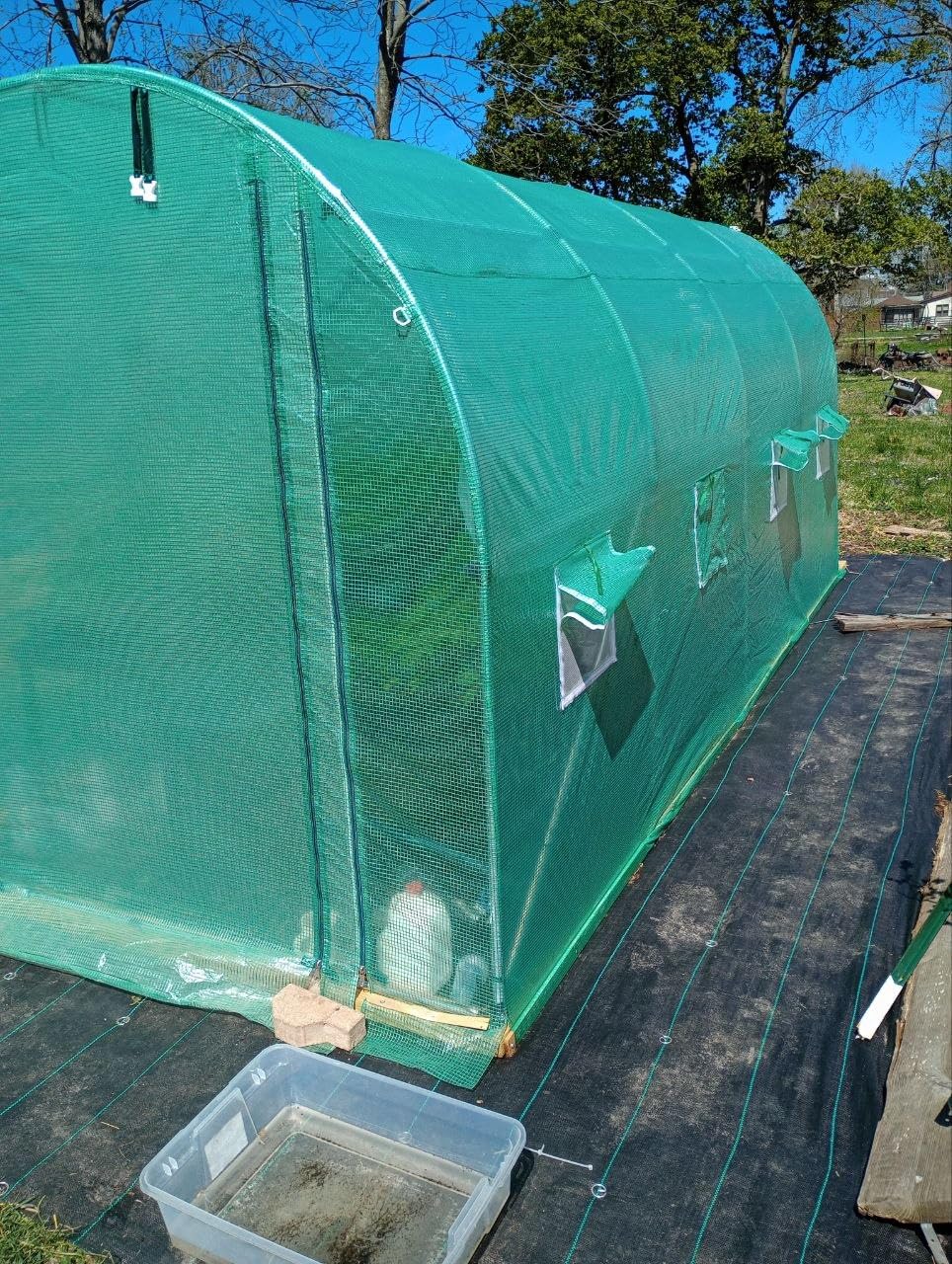 KING BIRD Premium 20x10x6.6FT Greenhouse for Outdoors, Large Walk-in Upgraded Galvanized Metal Frame, Mesh Door Screen Window Improved Zipper Tunnel Hoop customer photo 1