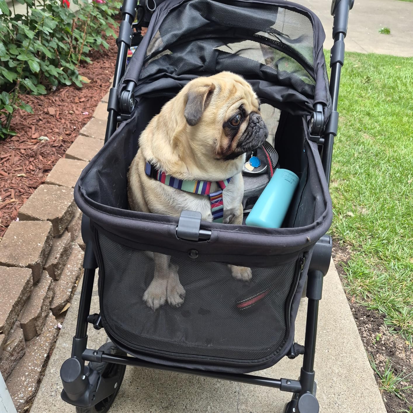 Zoosky Medium Dog Stroller for Large Dogs, Pet Stroller, Up to 66lbs customer photo 2