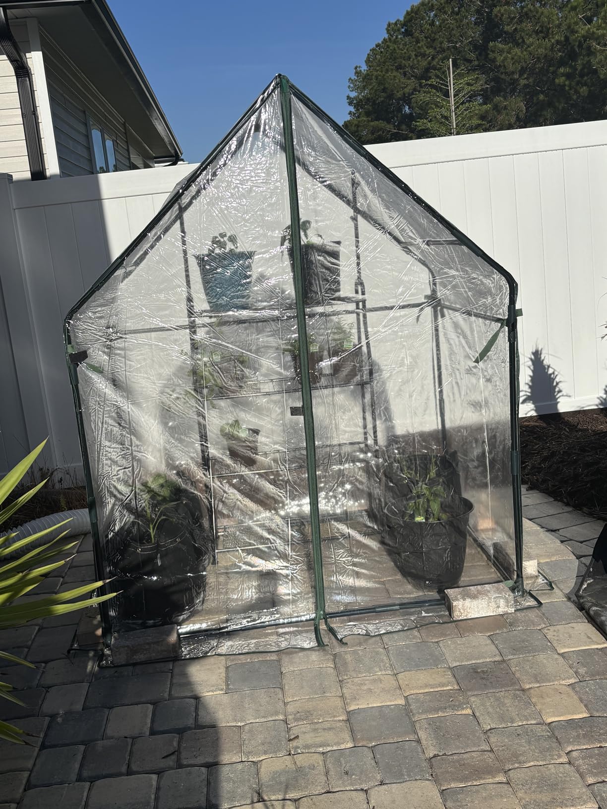 Gardzen Mini Greenhouse with Waterproof Bottom, Portable Green House with Strong Metal Frame, Small Green House with Zipper Door for Outside and Inside Use, 36.2