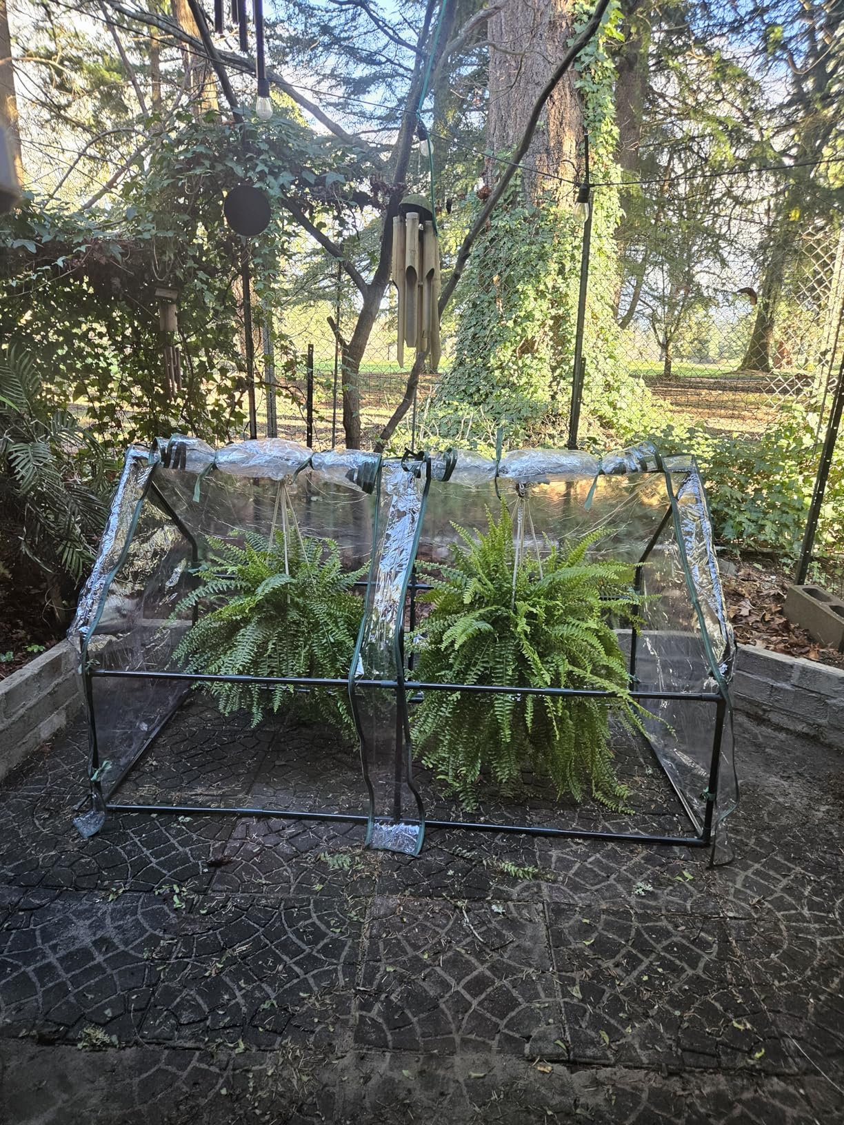 Gardzen Mini Greenhouse with Waterproof Bottom, Portable Green House with Strong Metal Frame, Small Green House with Zipper Door for Outside and Inside Use, 36.2