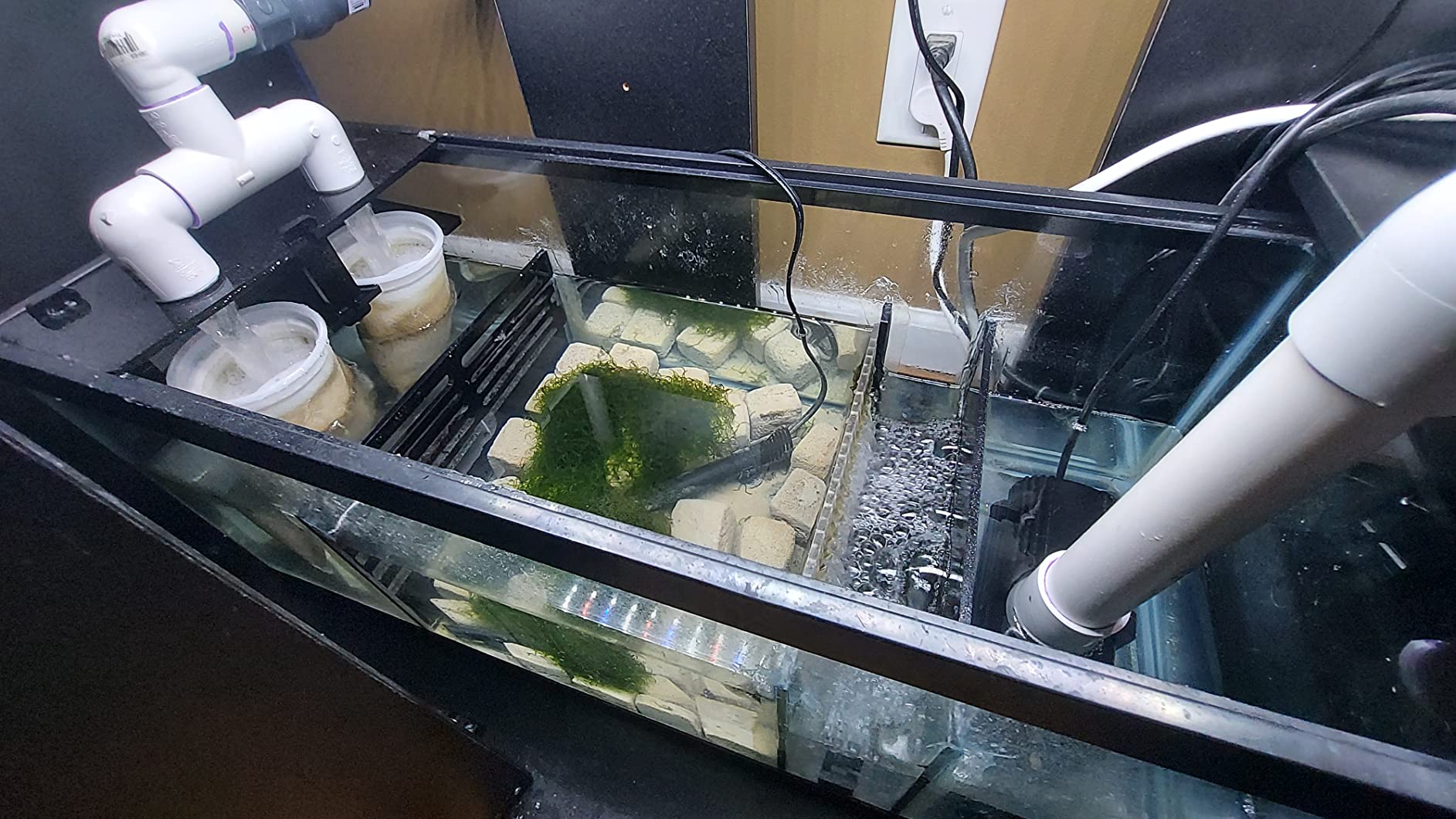 LYL LEYOULAND Adjustable Sump Baffle Kit - Refugium Kit for 10 Gallon Tank - Reef Aquarium - Saltwater Aquarium Filter System- Protein Skimmer Sump customer photo 2