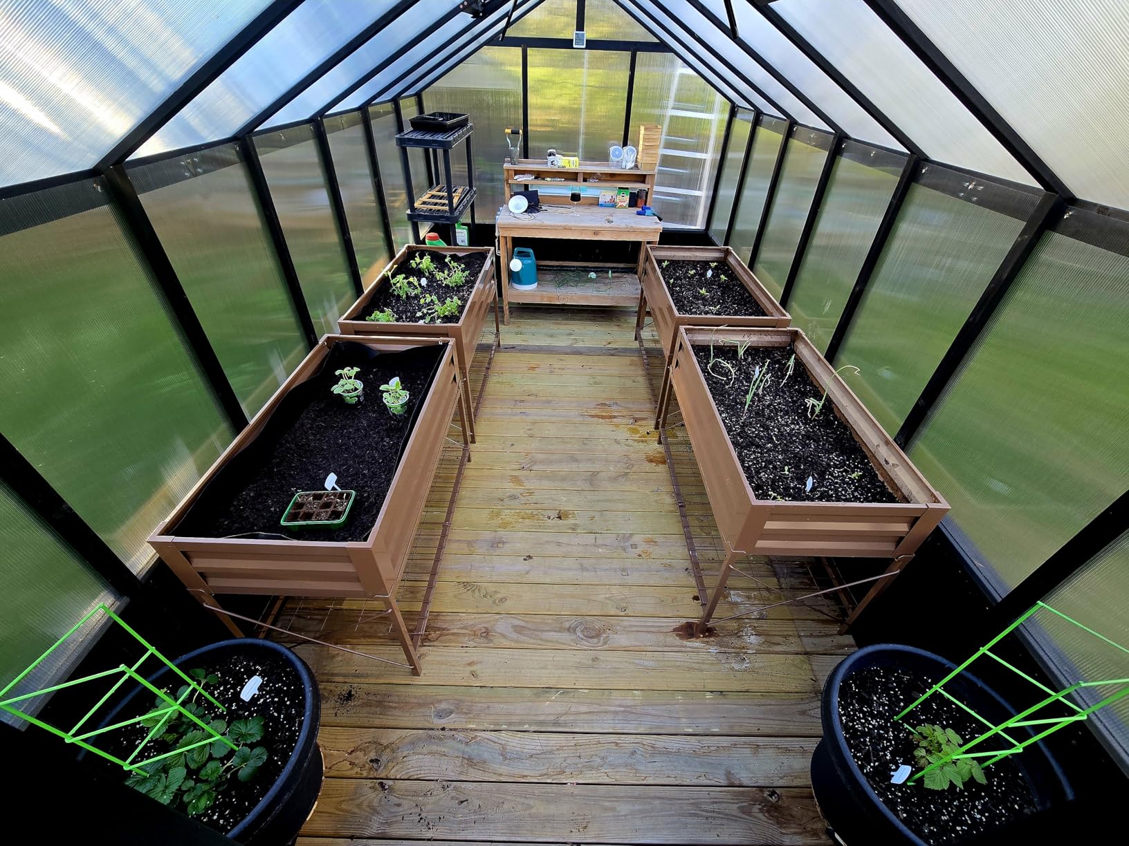 Yardenaler 8x10 FT Greenhouse Kit with 6MM Thick Polycarbonate Panel for Outdoor, Wooden Walk-in Green House with Adjustable Roof Vent and Lockable Door, Backyard, Garden, Light Mocha Brown customer photo 1