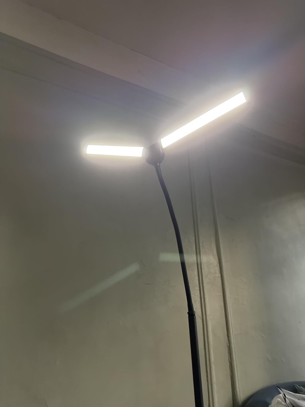 LED Floor Lamp for Living Room, Bright Reading Lamps for Office, Adjustable Colors Temperatures&Brightness, Dual Head Goose-Neck Standing Lamp, Remote and Button Control, Eye Caring Tall Lamp, Black customer photo 1
