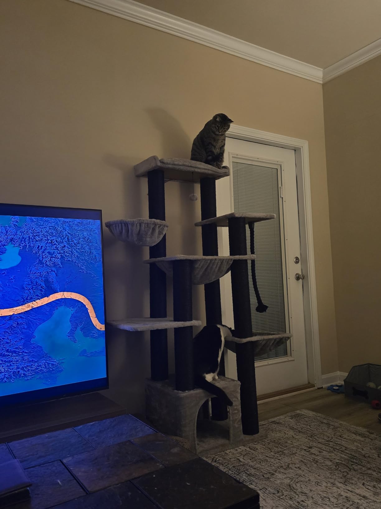 MUTTROS Maine Coon Cat Tree-67 Large Cat Tower for Indoor Cats Large Adult with 7 Thick Black Scratching Posts (φ4.3), Multi-Level Condo, Big Perch & Hammocks -Black customer photo 1