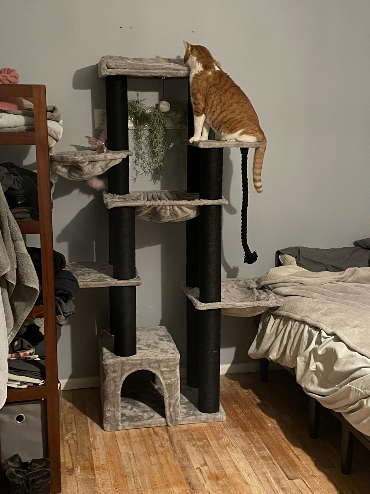 MUTTROS Maine Coon Cat Tree-67 Large Cat Tower for Indoor Cats Large Adult with 7 Thick Black Scratching Posts (φ4.3), Multi-Level Condo, Big Perch & Hammocks -Black customer photo 2
