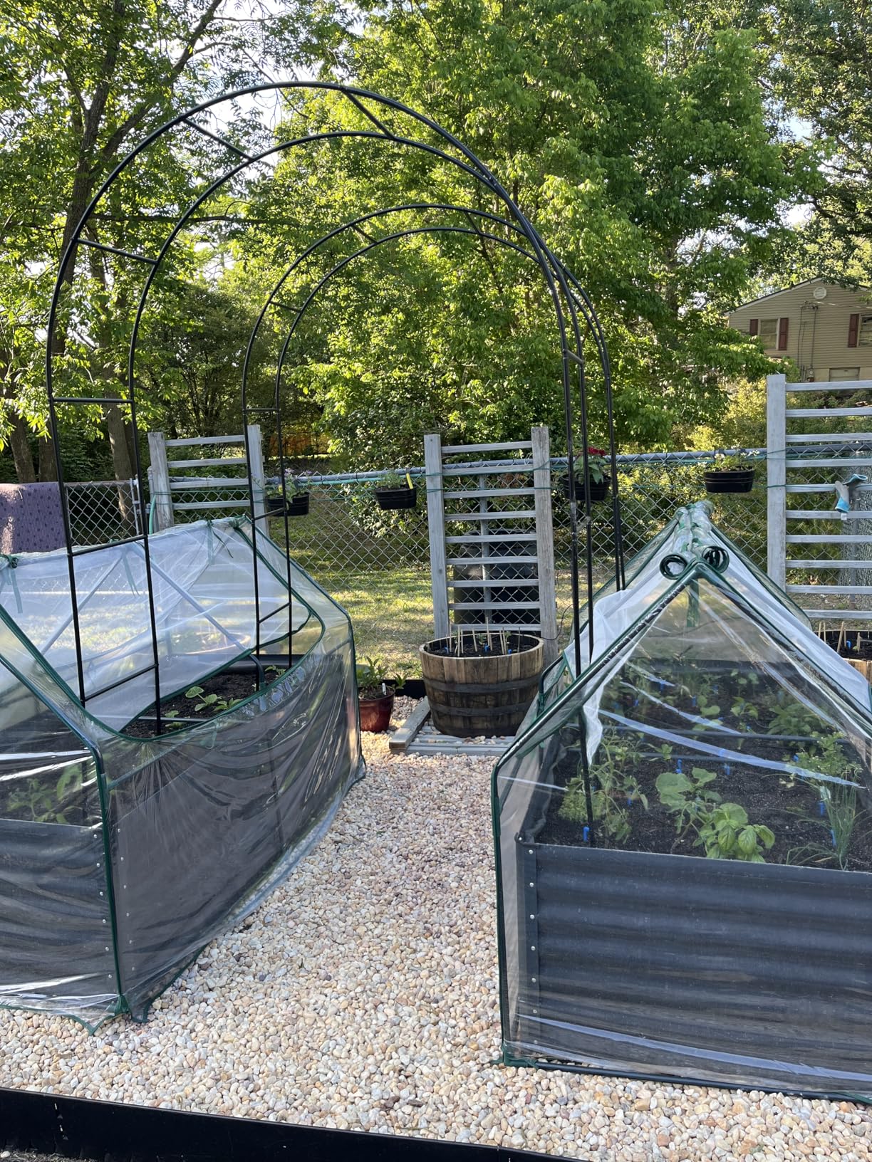 Quictent Raised Garden Bed Galvanized Raised Beds for Gardening Vegetables with Cover 6x3x2 ft Tall Metal Planter Box Outdoor Use (Clear) customer photo 1