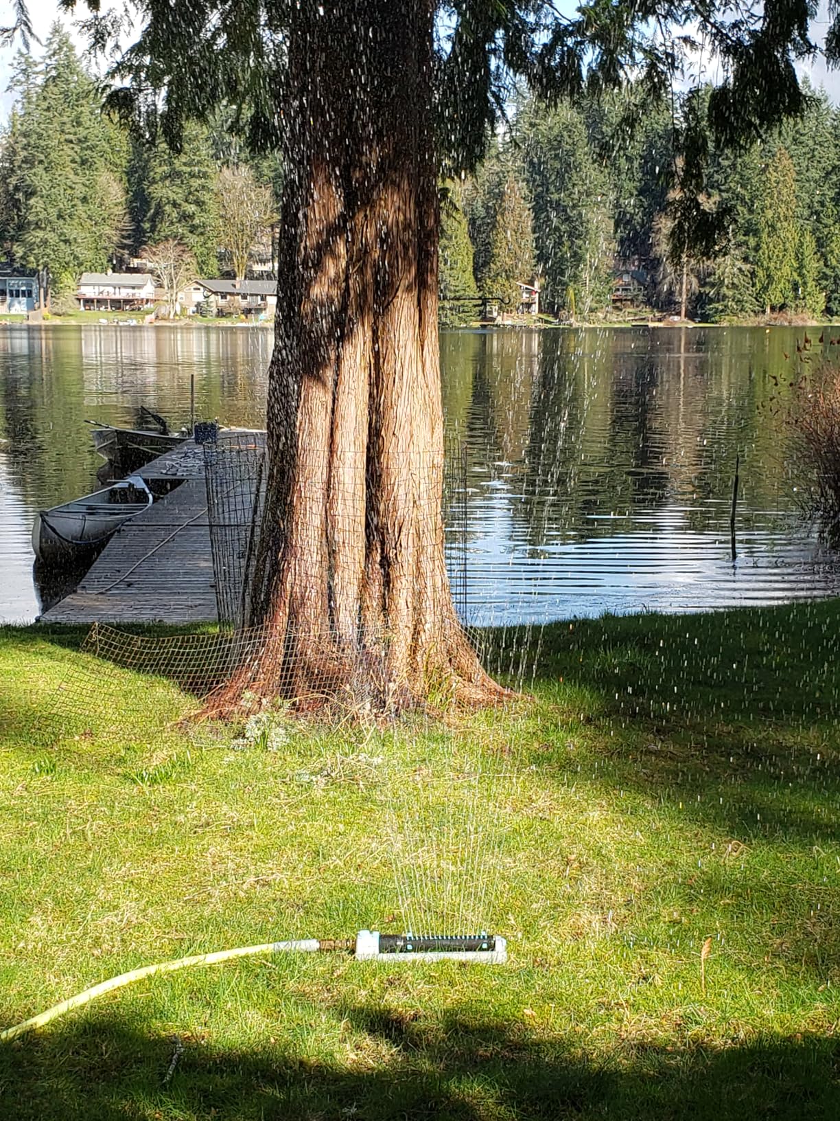 QUOBAS Heavy Duty Oscillating Sprinkler, 18-Hole Nozzle with Zinc Alloy Metal Base, Adjustable Flow Control & Spray Width, with Cleaning Pin, Garden, Yard customer photo 2