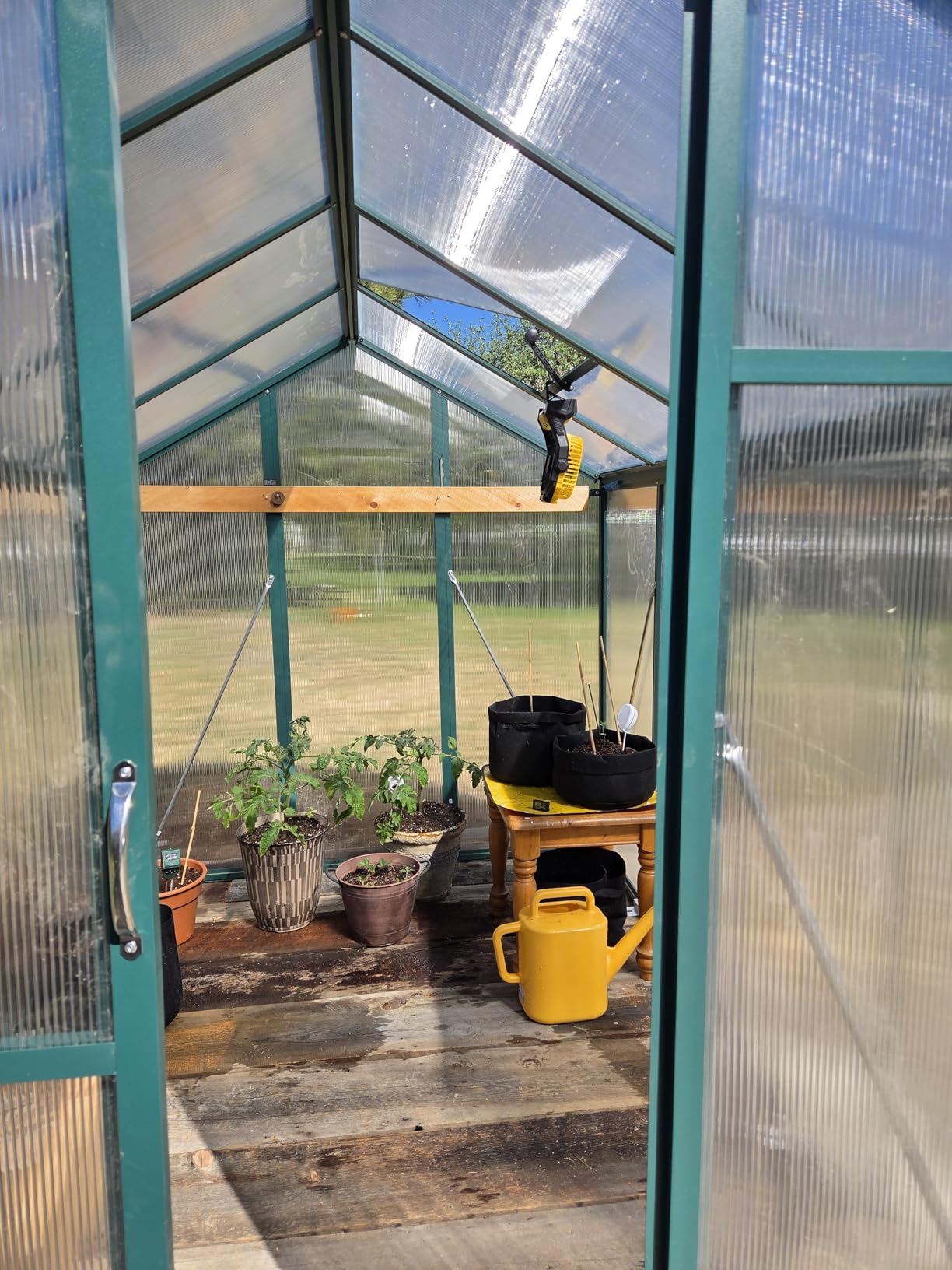 GarveeHome 6X8 FT Greenhouse, Walk-in Greenhouse Kit with Aluminum Frame, Polycarbonate Panels, Adjustable Roof Vent, Sliding Door, Secure Lock customer photo 2