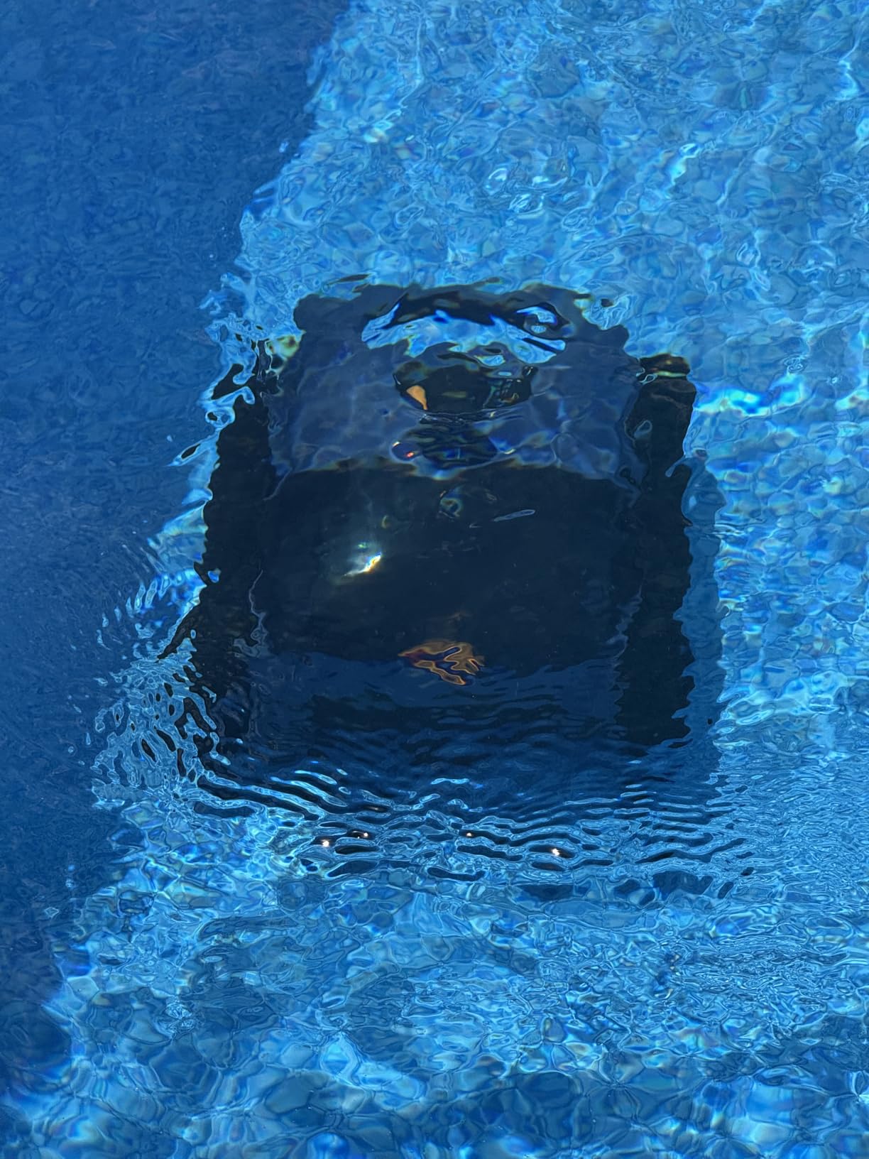 Cordless Robotic Pool Vacuum with Sonar Navigation & Track Drive, Dual 180W Brushless Motors, Wall & Waterline Climbing, 150-Min Runtime, for Inground & Above-Ground Pools up to 2,150 Sq. Ft. customer photo 2