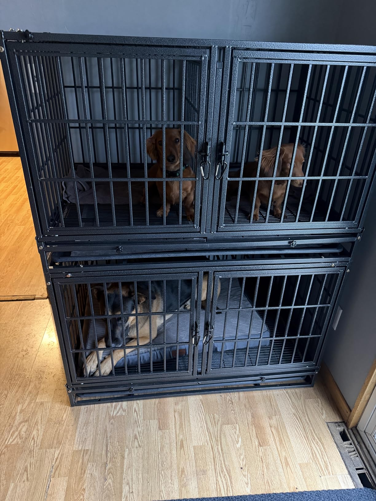 Homey Pet Heavy Duty Dog Crates for Large Dogs, 47 Inch Stackable Large Dog Crate Cage with 4 Wheels, 2 Removable Trays and Grids, 2 Bowls, Multi Locks Strong & Solid Escape Proof Dogs Kennel Indoor customer photo 1