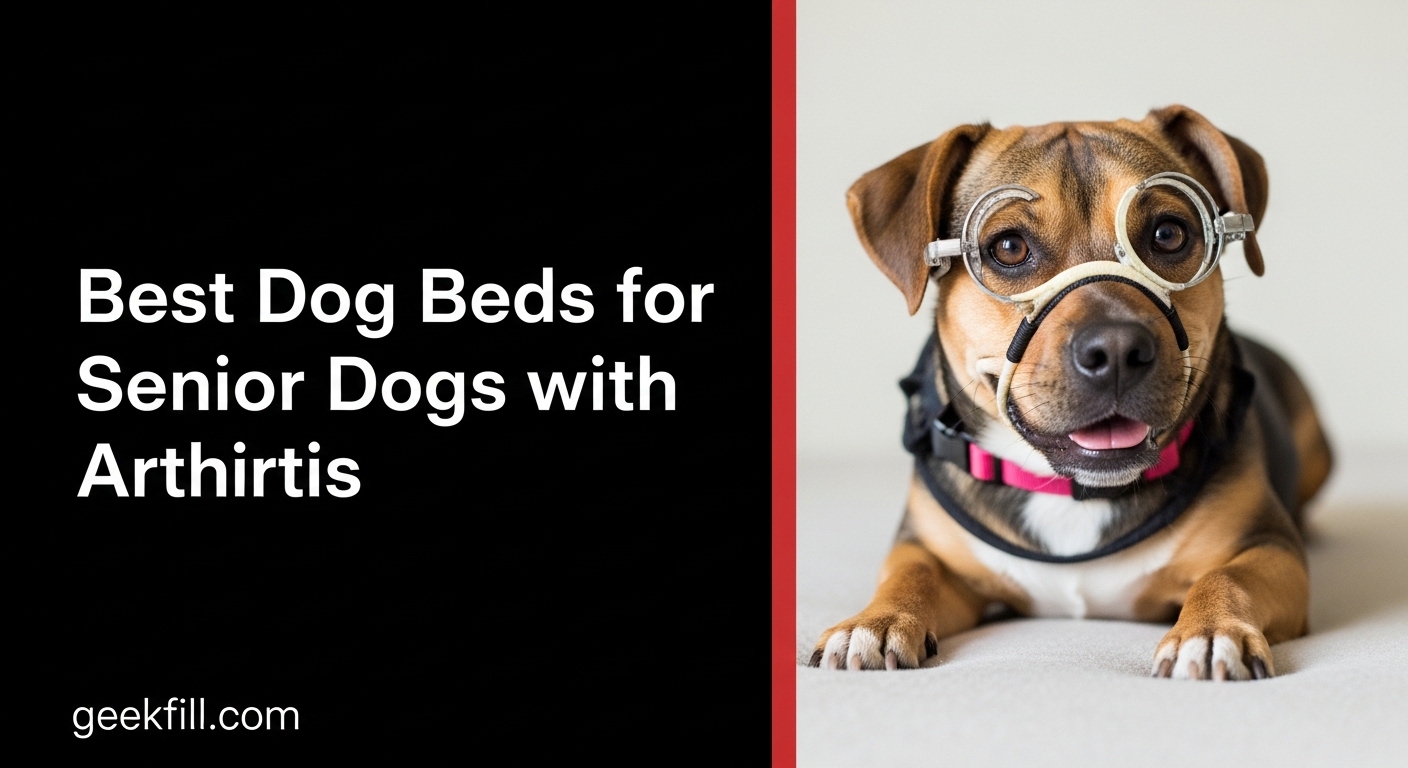 Best Dog Beds for Senior Dogs with Arthritis