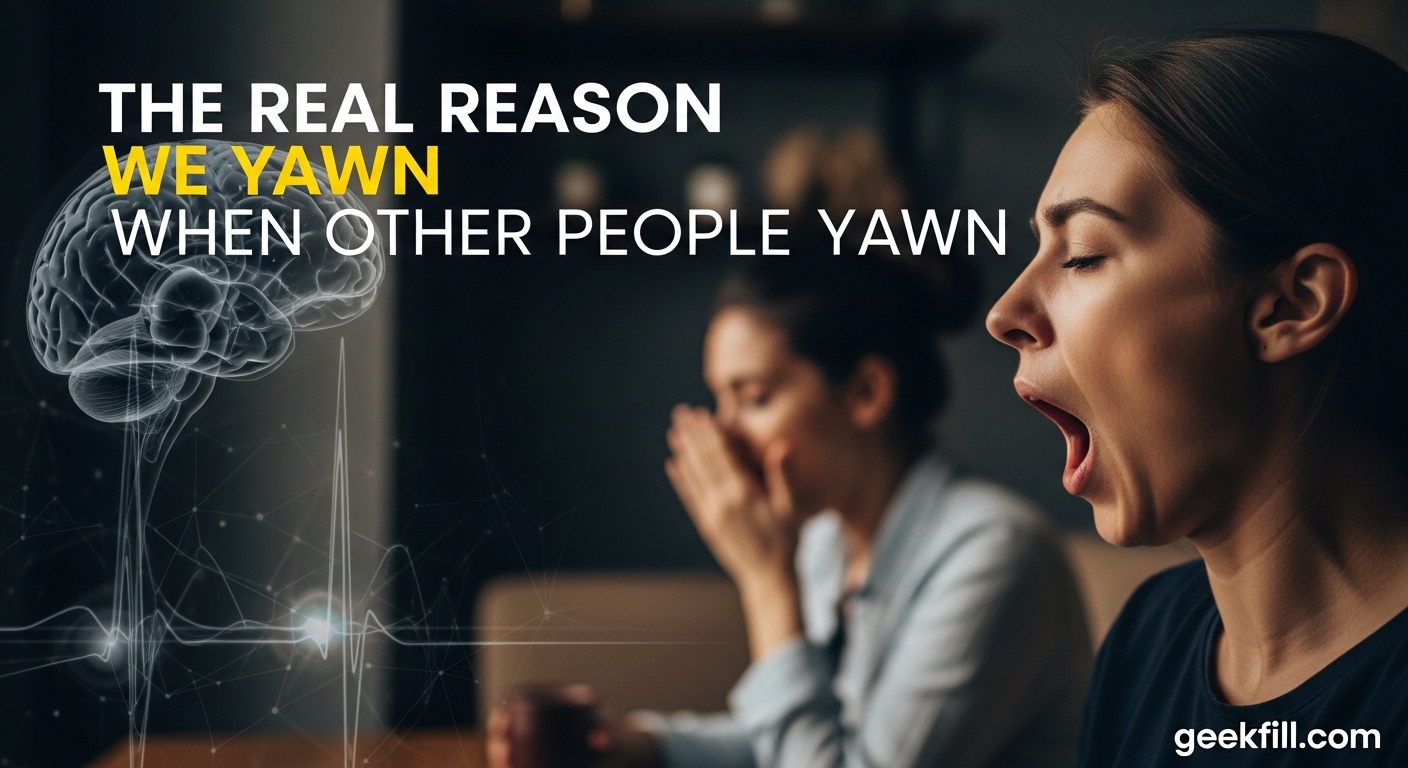 The Real Reason We Yawn When Other People Yawn